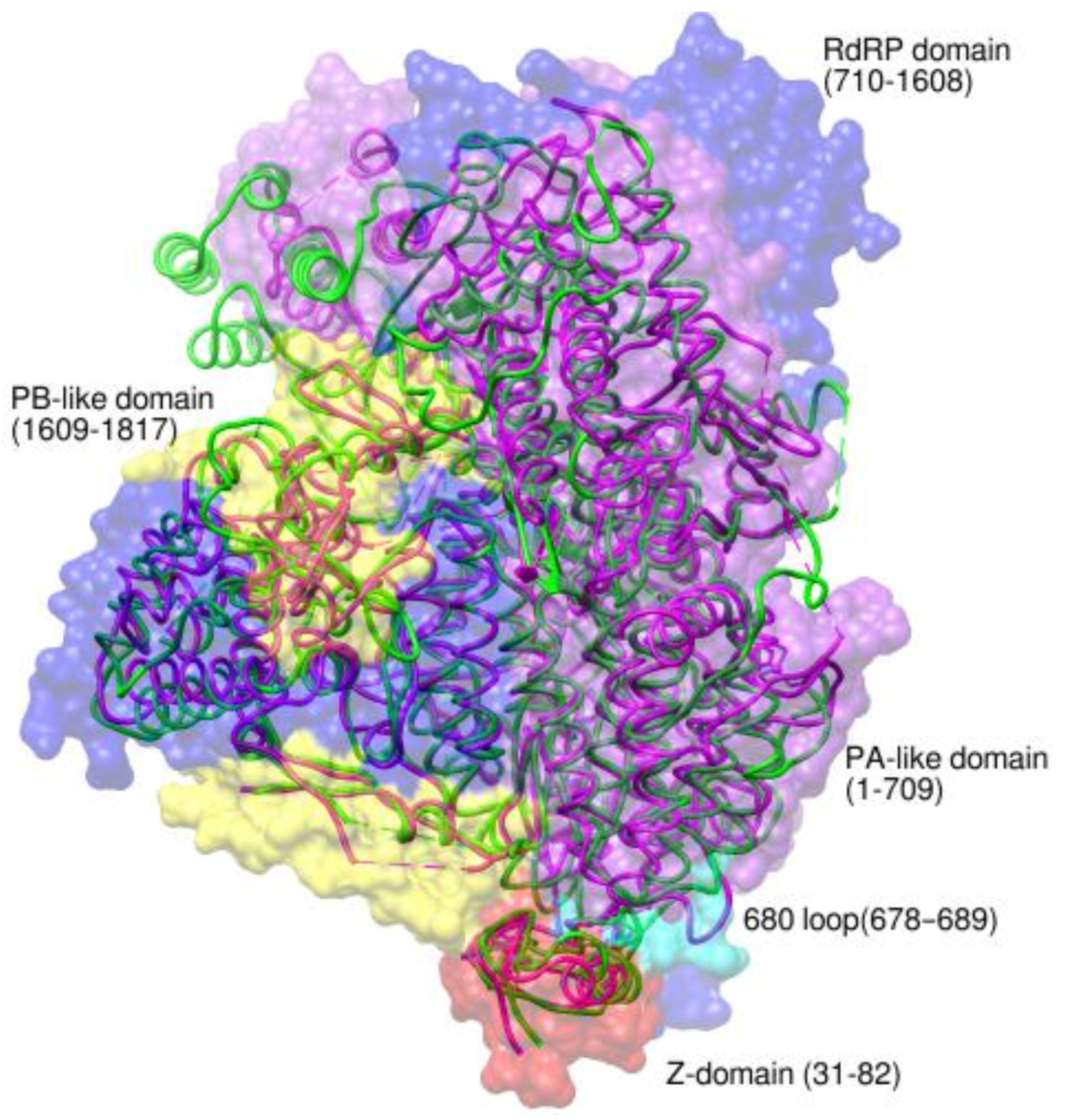 Viruses 14 02200 g005