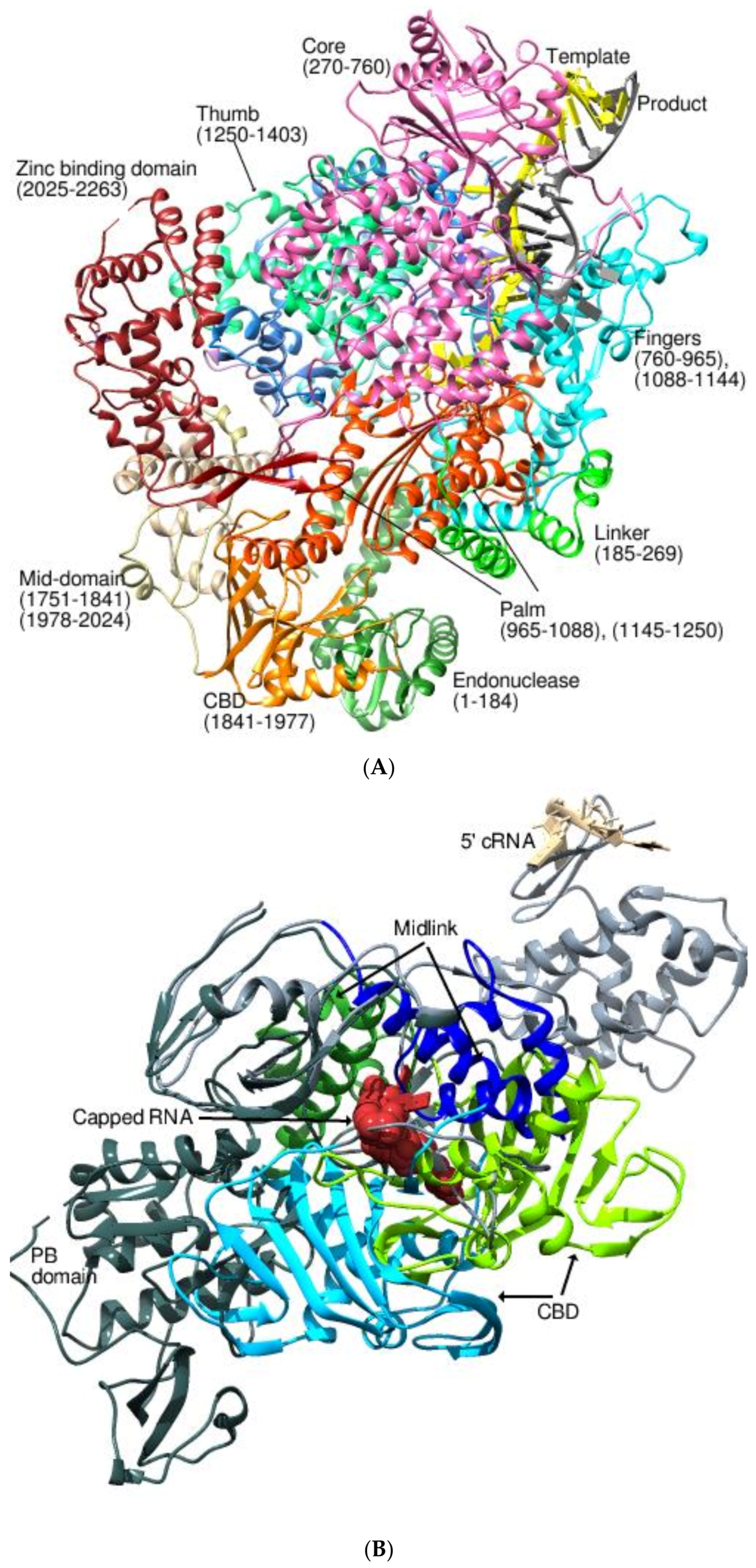 Viruses 14 02200 g006a
