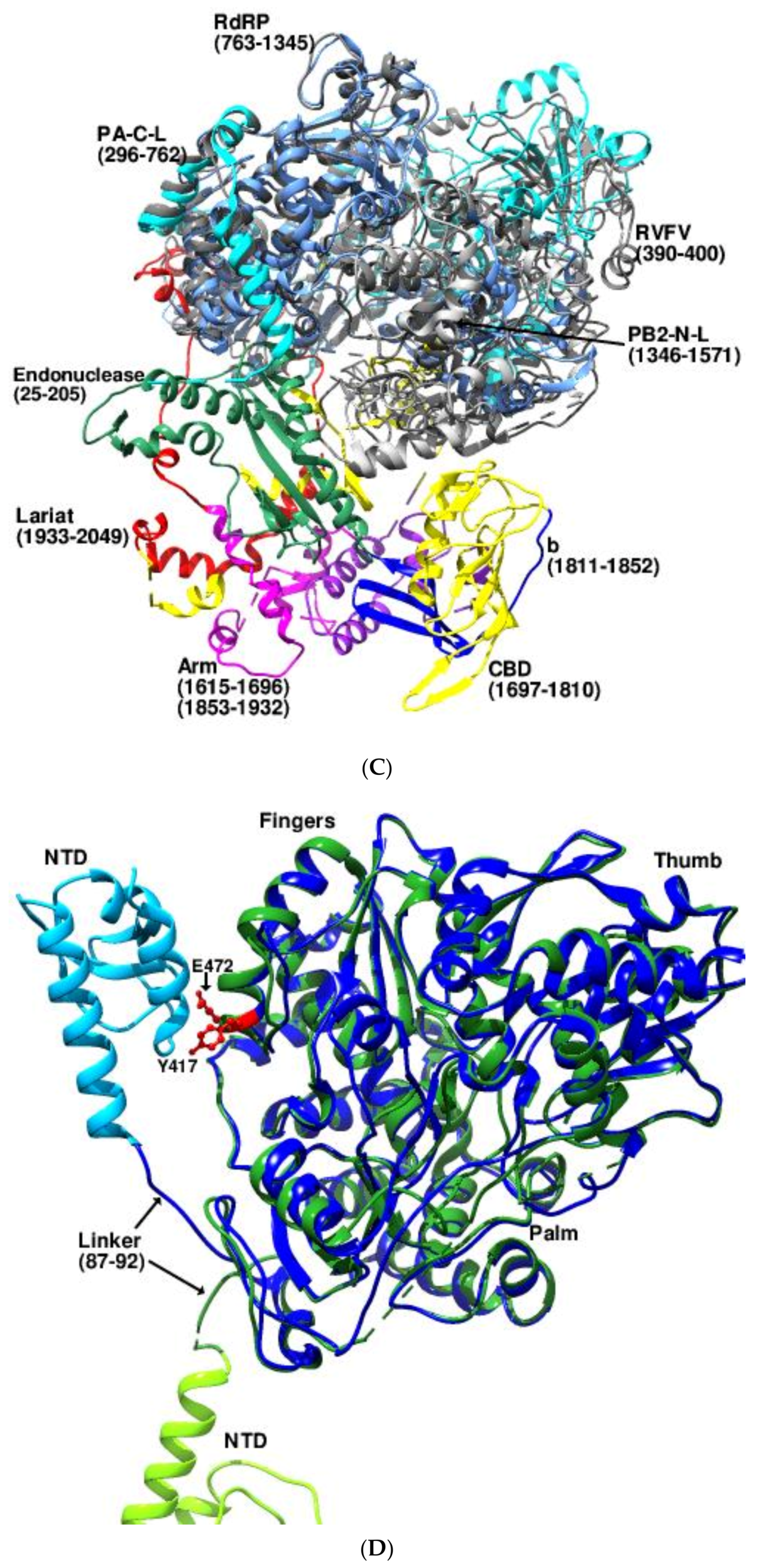 Viruses 14 02200 g006b
