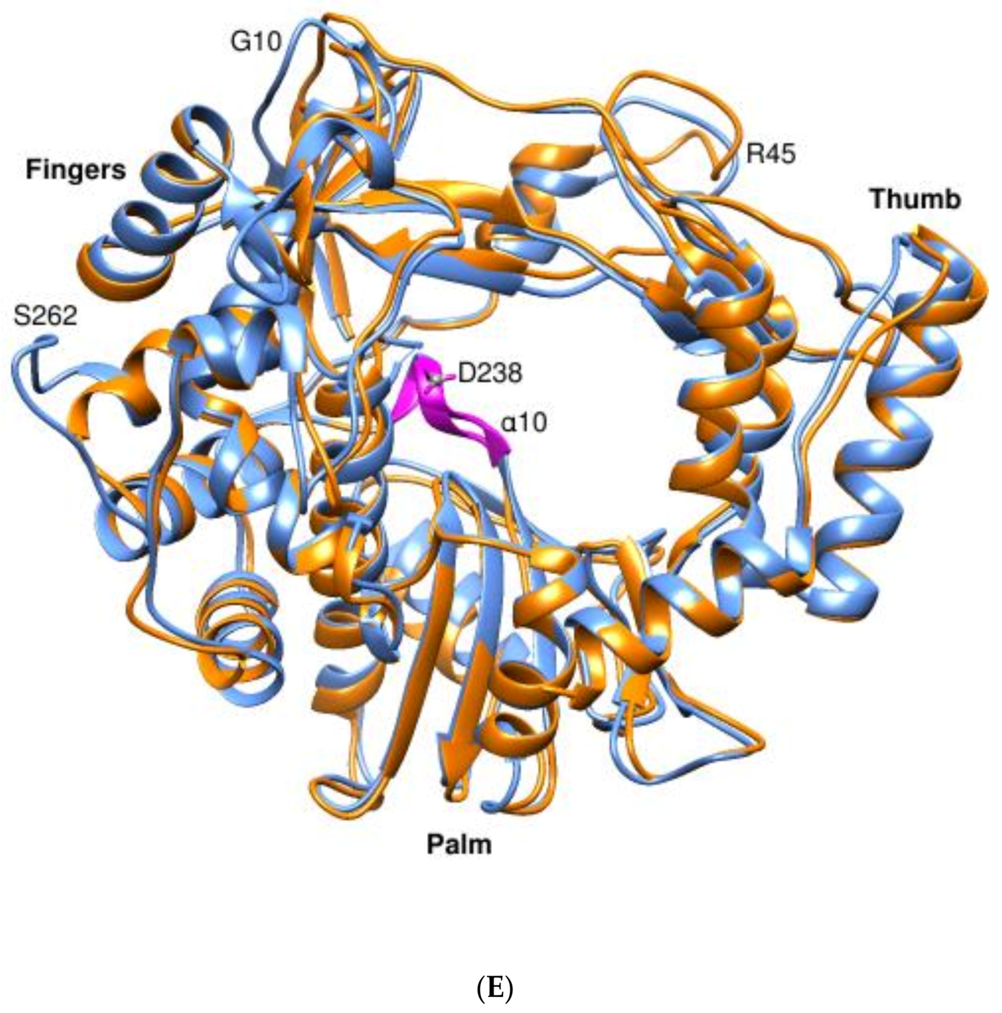 Viruses 14 02200 g006c