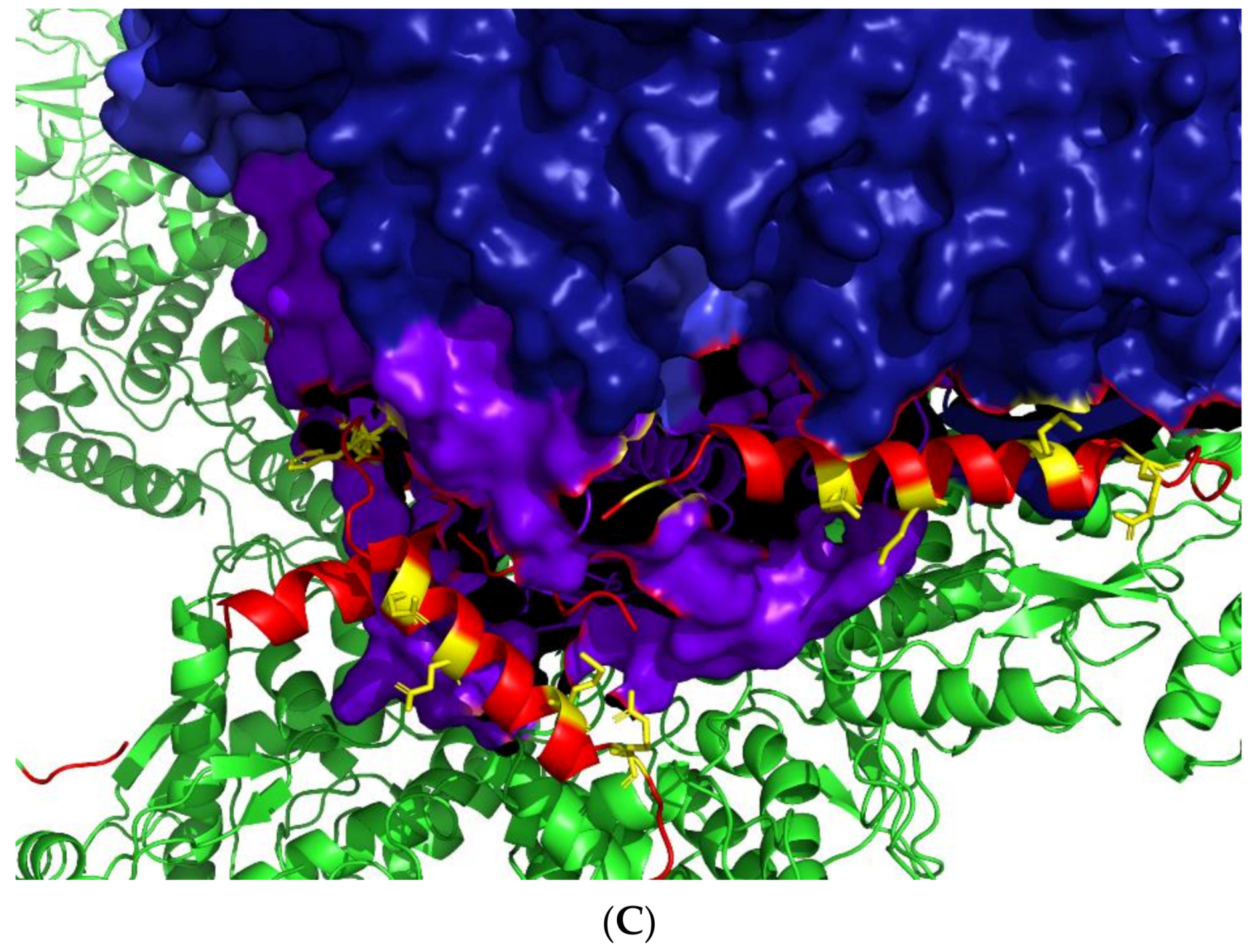 Viruses 14 02200 g007b
