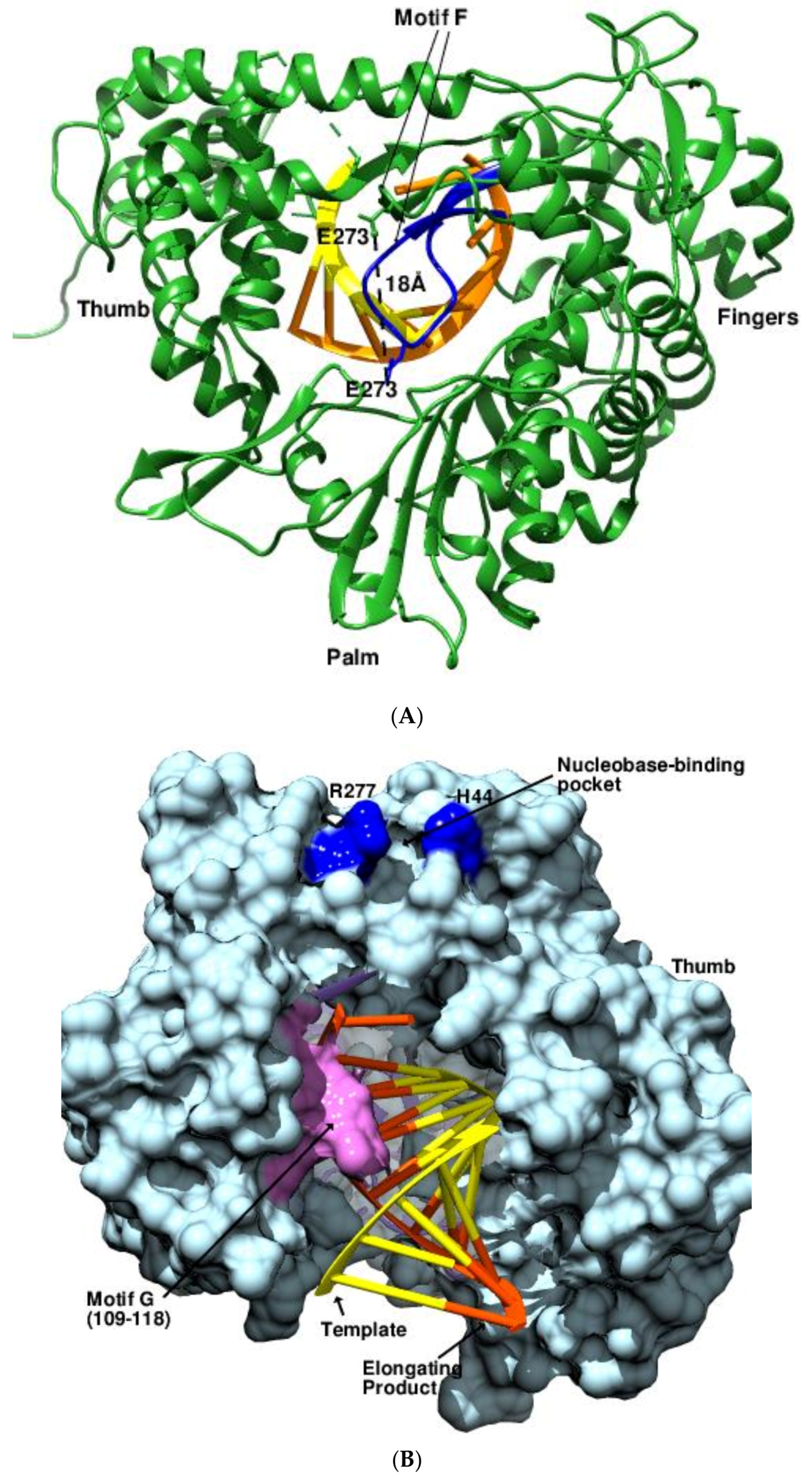 Viruses 14 02200 g008a