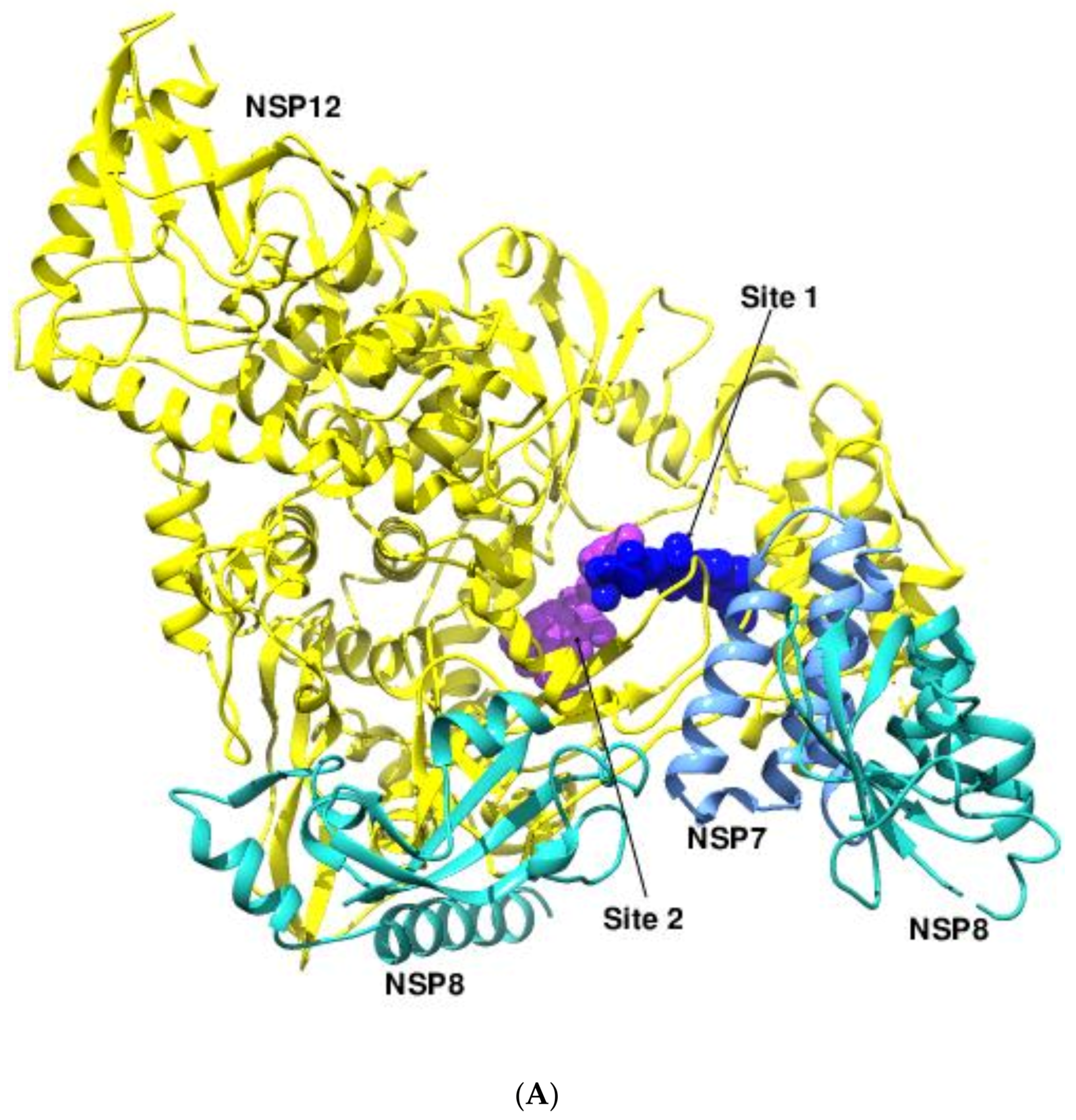 Viruses 14 02200 g010a