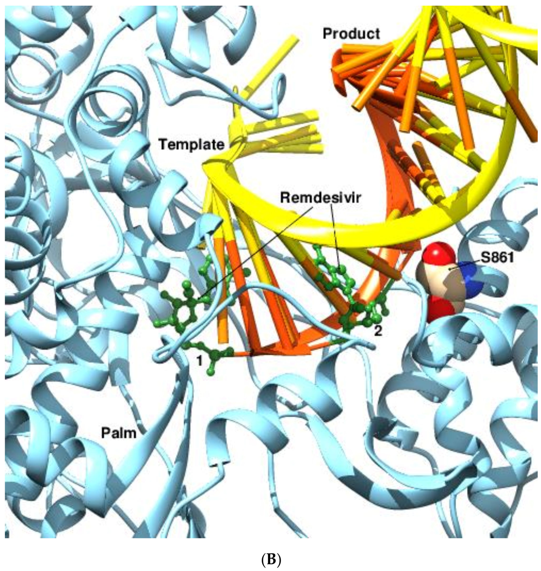 Viruses 14 02200 g010b