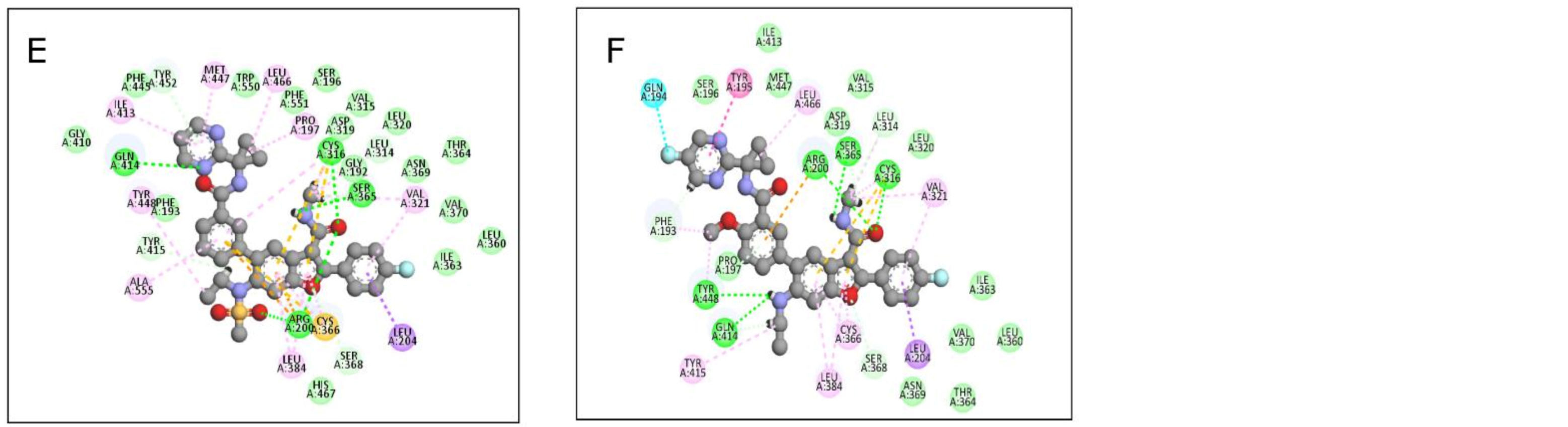 Viruses 14 02200 g011b