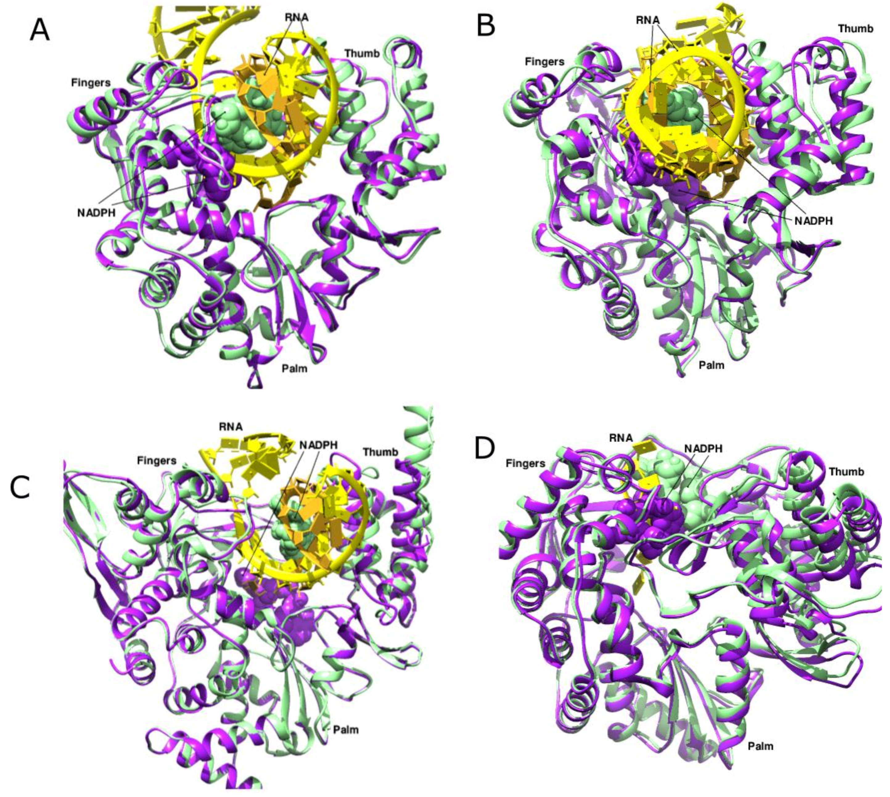 Viruses 14 02200 g013