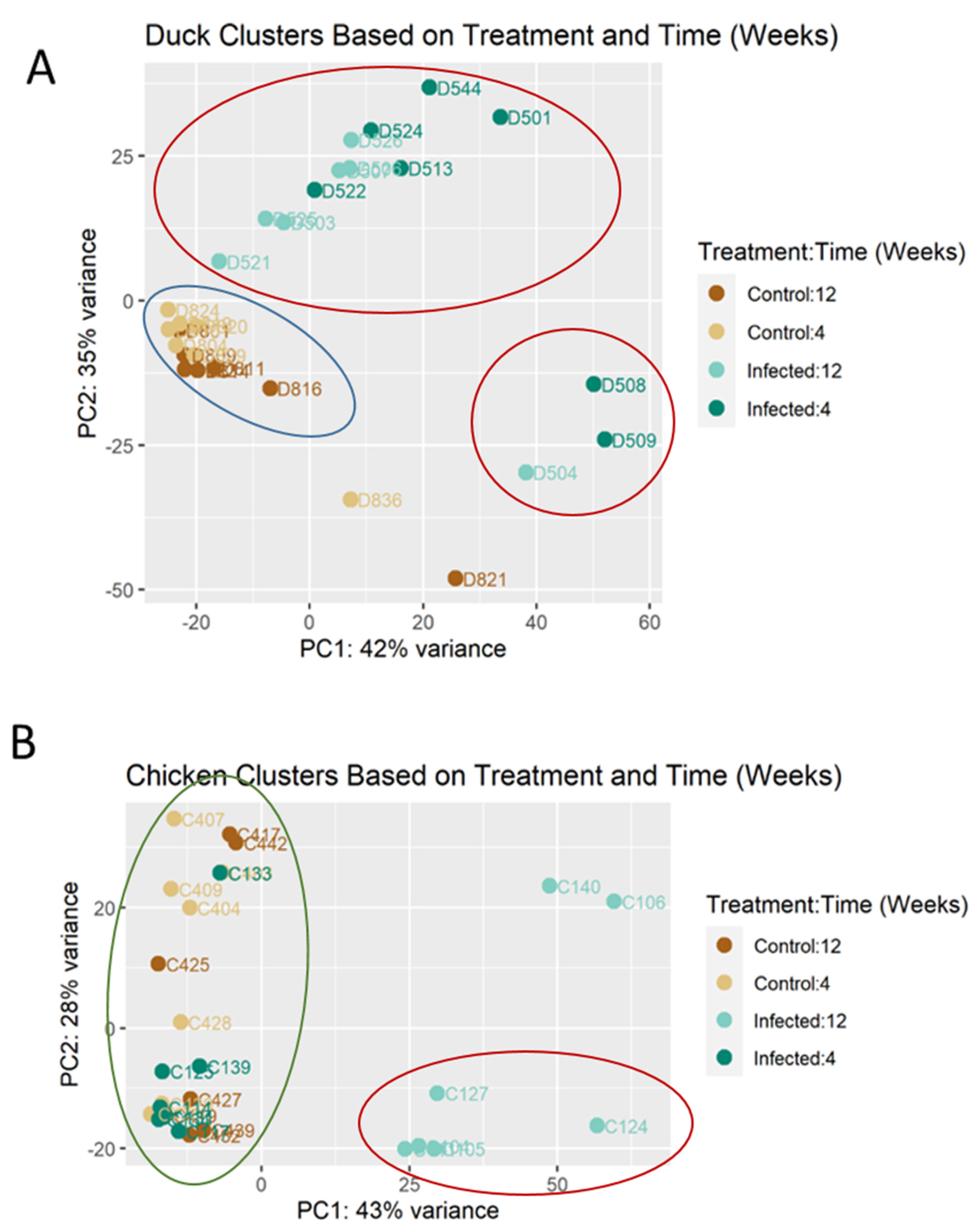 Viruses 14 02211 g001