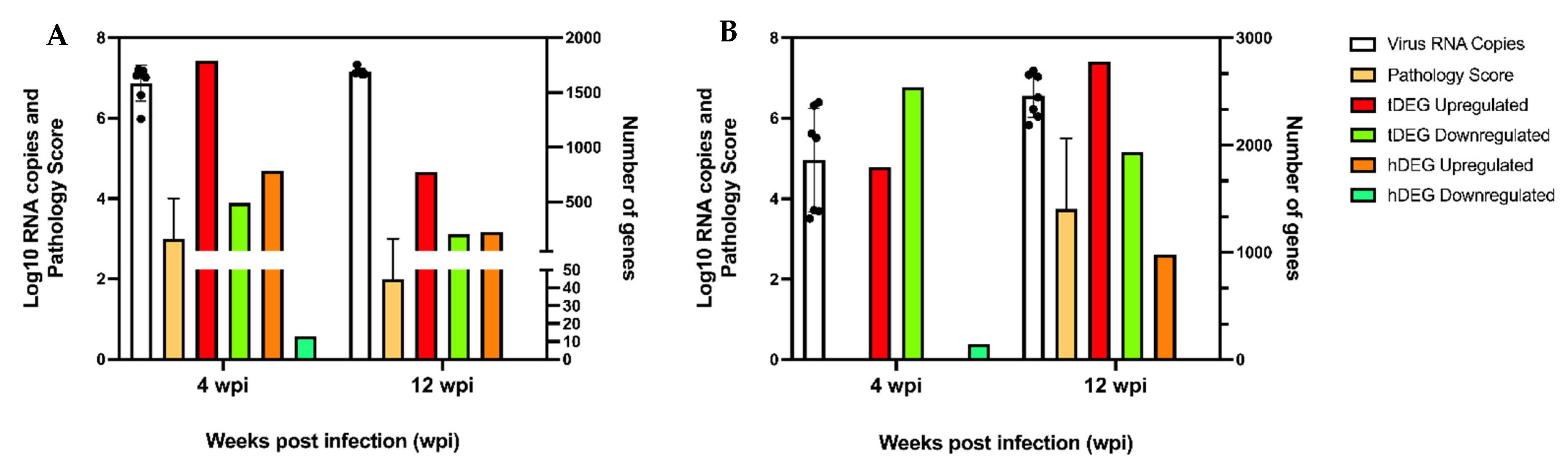 Viruses 14 02211 g002