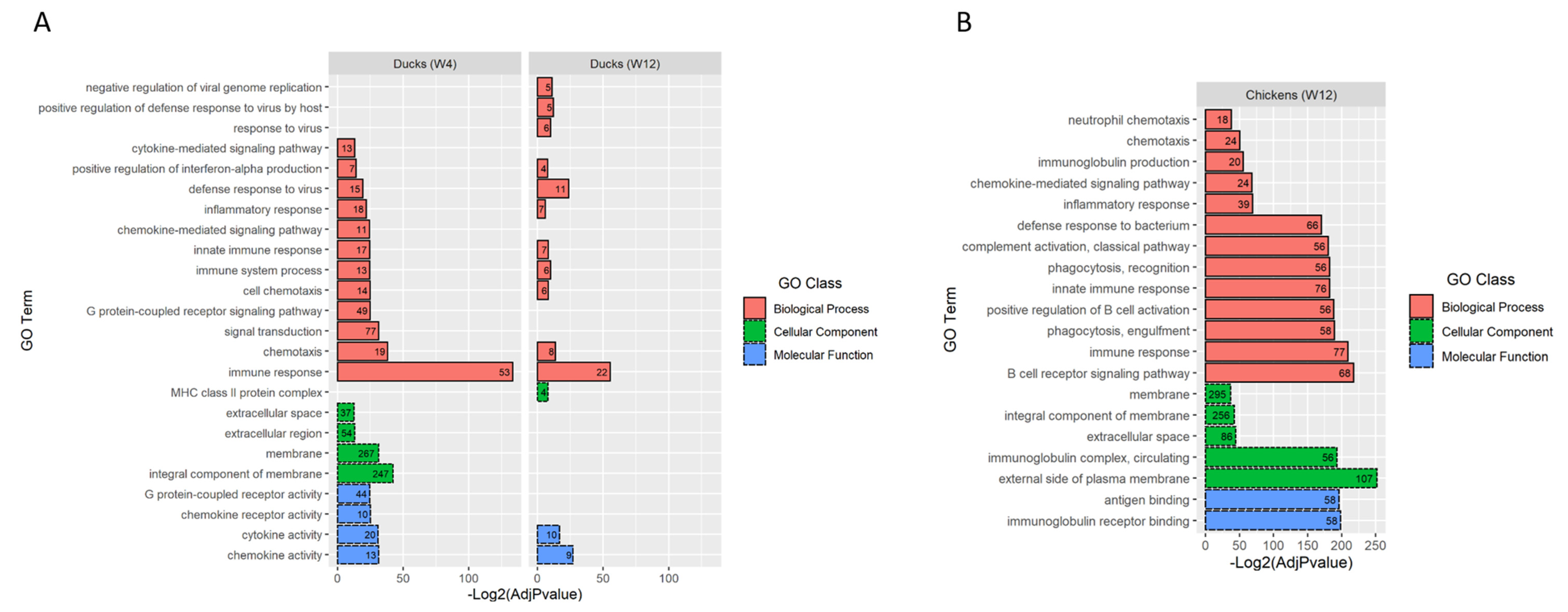 Viruses 14 02211 g004