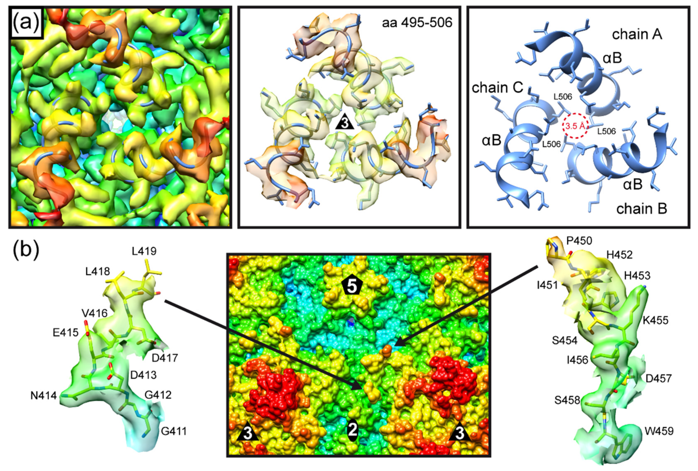 Viruses 14 02219 g004