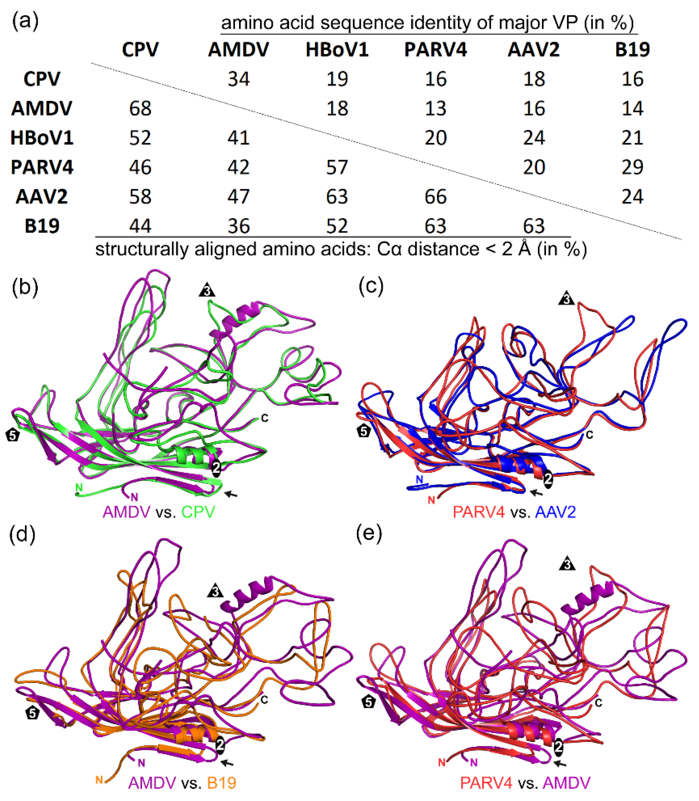 Viruses 14 02219 g005