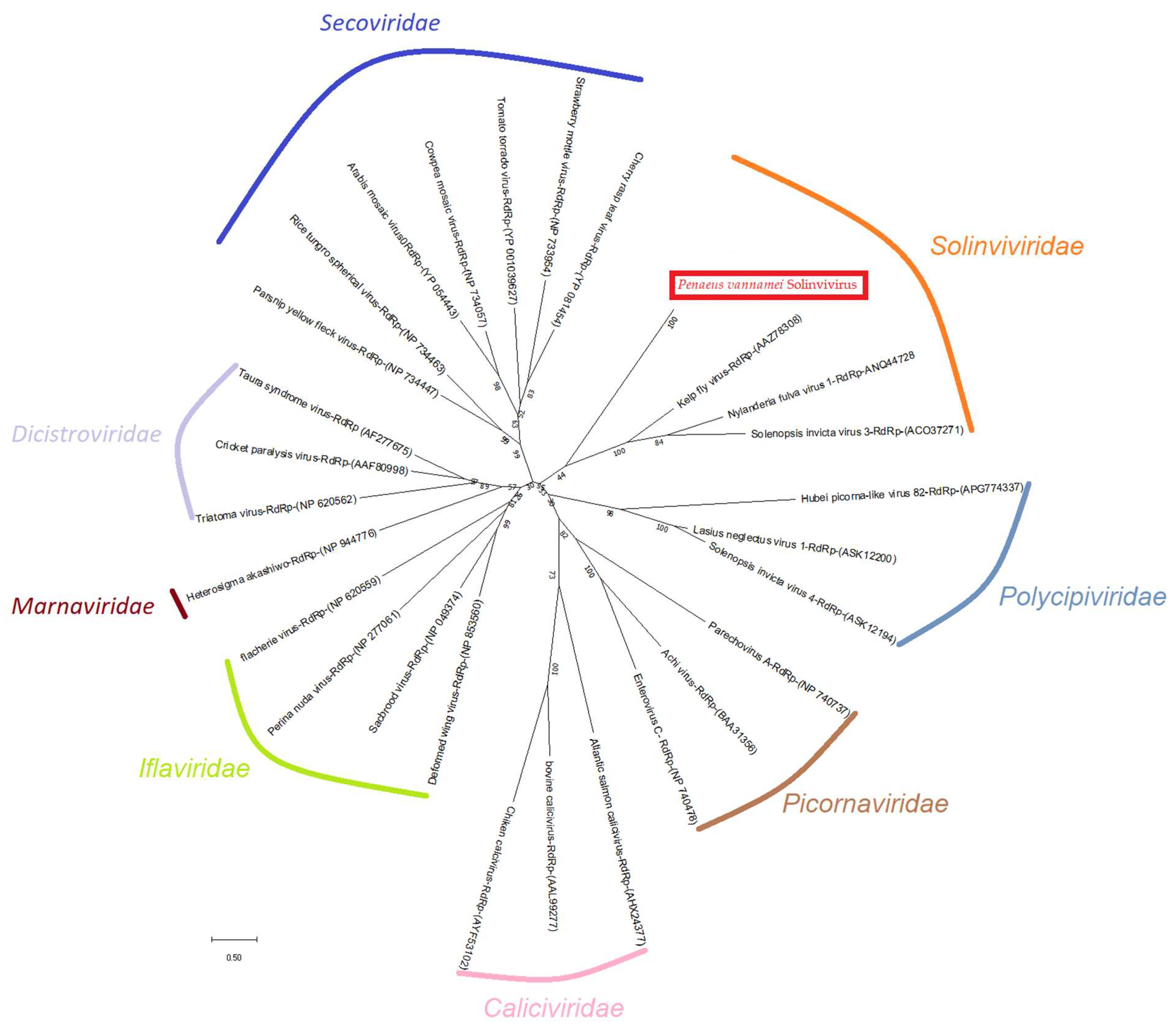 Viruses 14 02220 g002