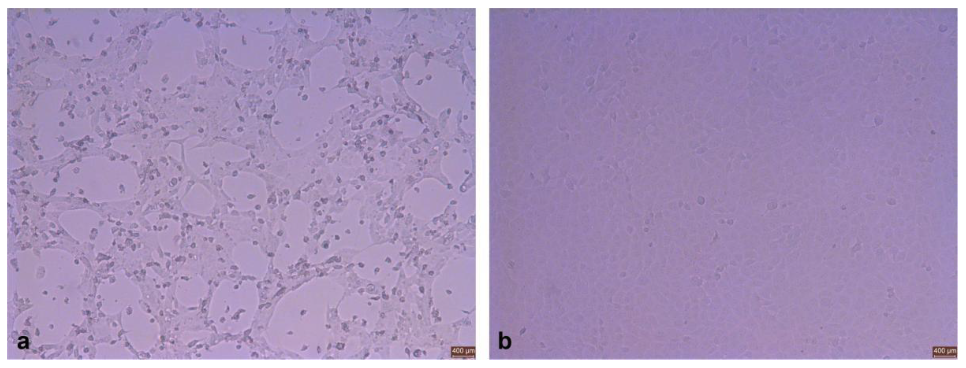 Viruses 14 02221 g001