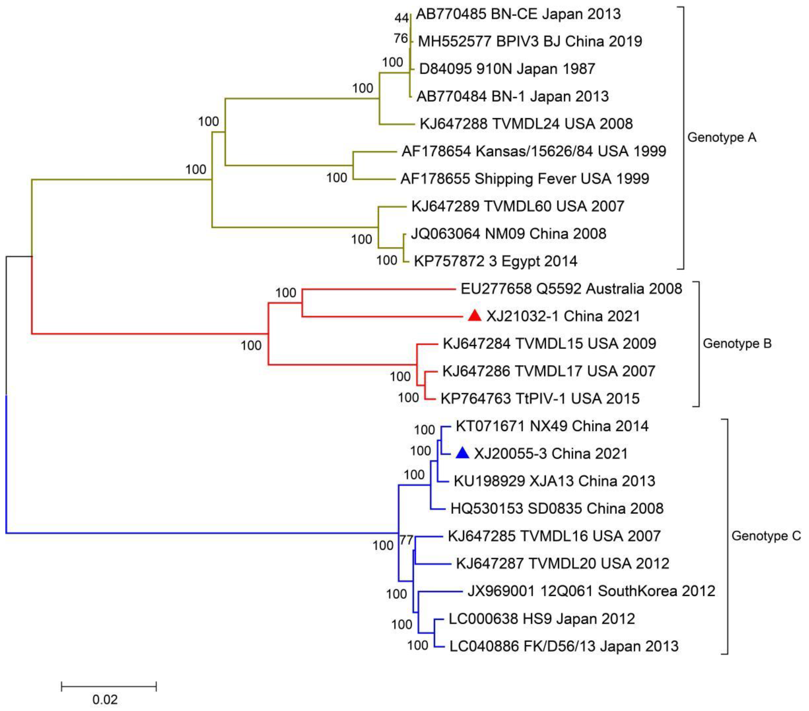 Viruses 14 02221 g004