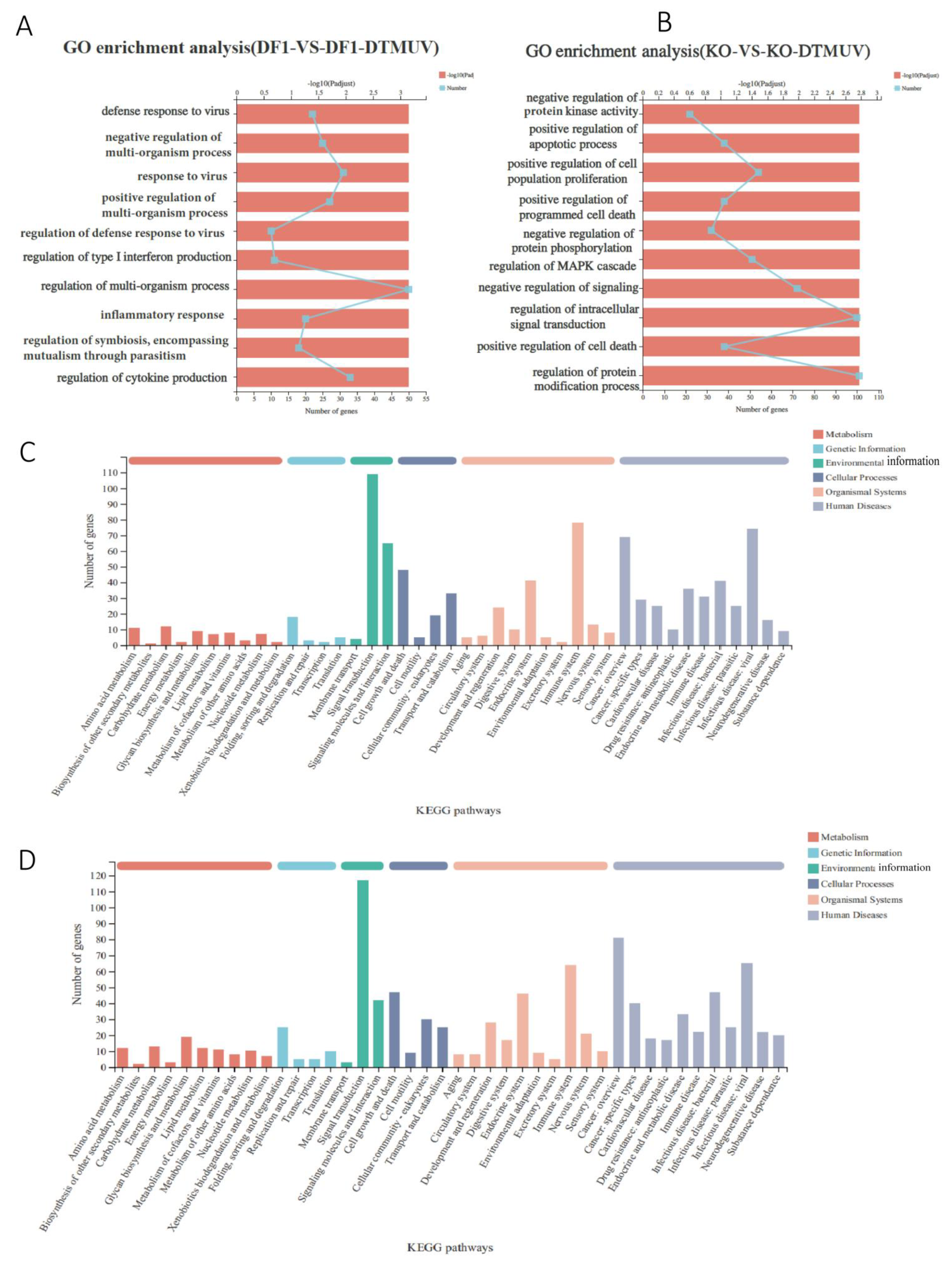 Viruses 14 02225 g005