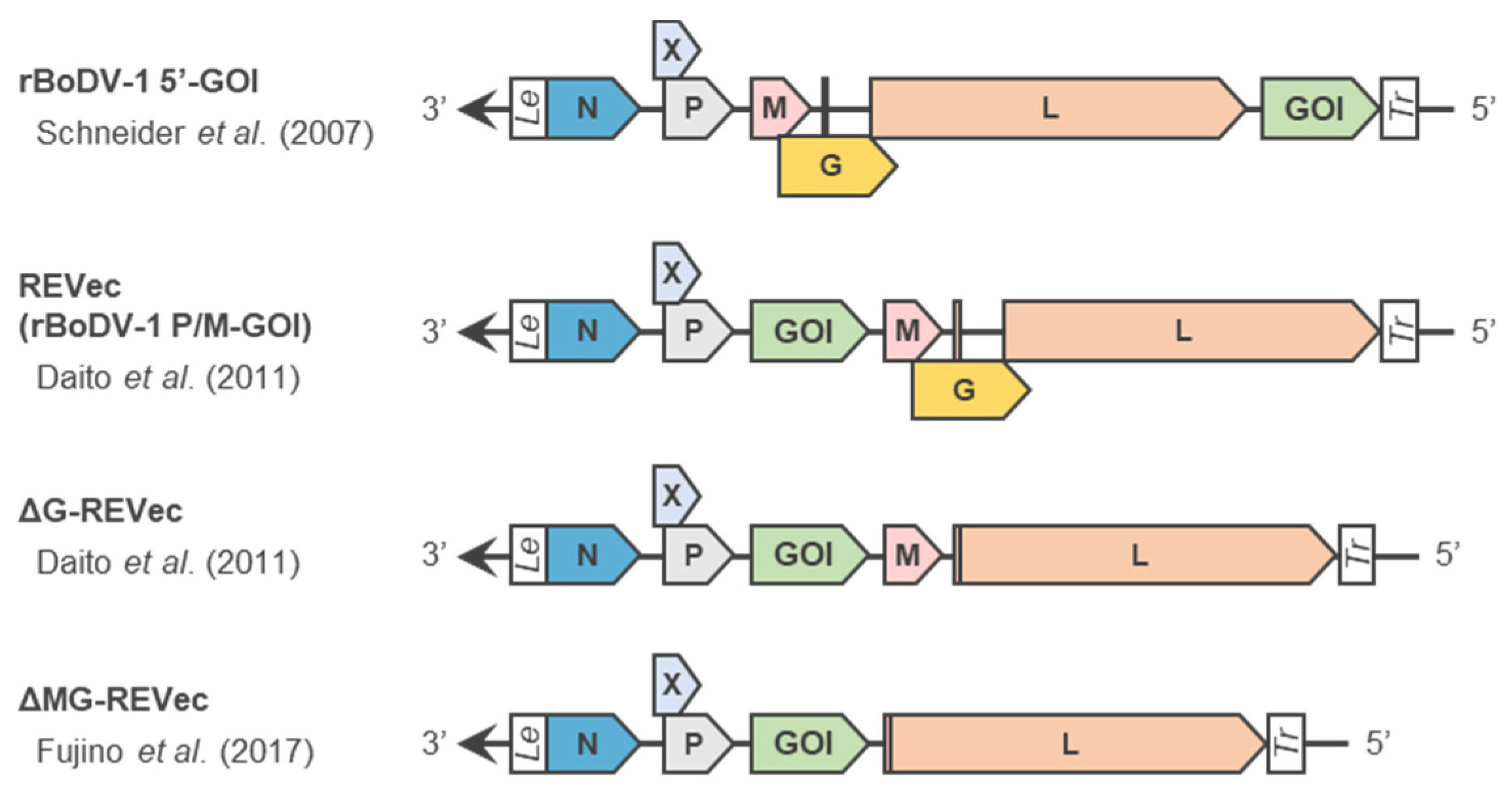 Viruses 14 02236 g003
