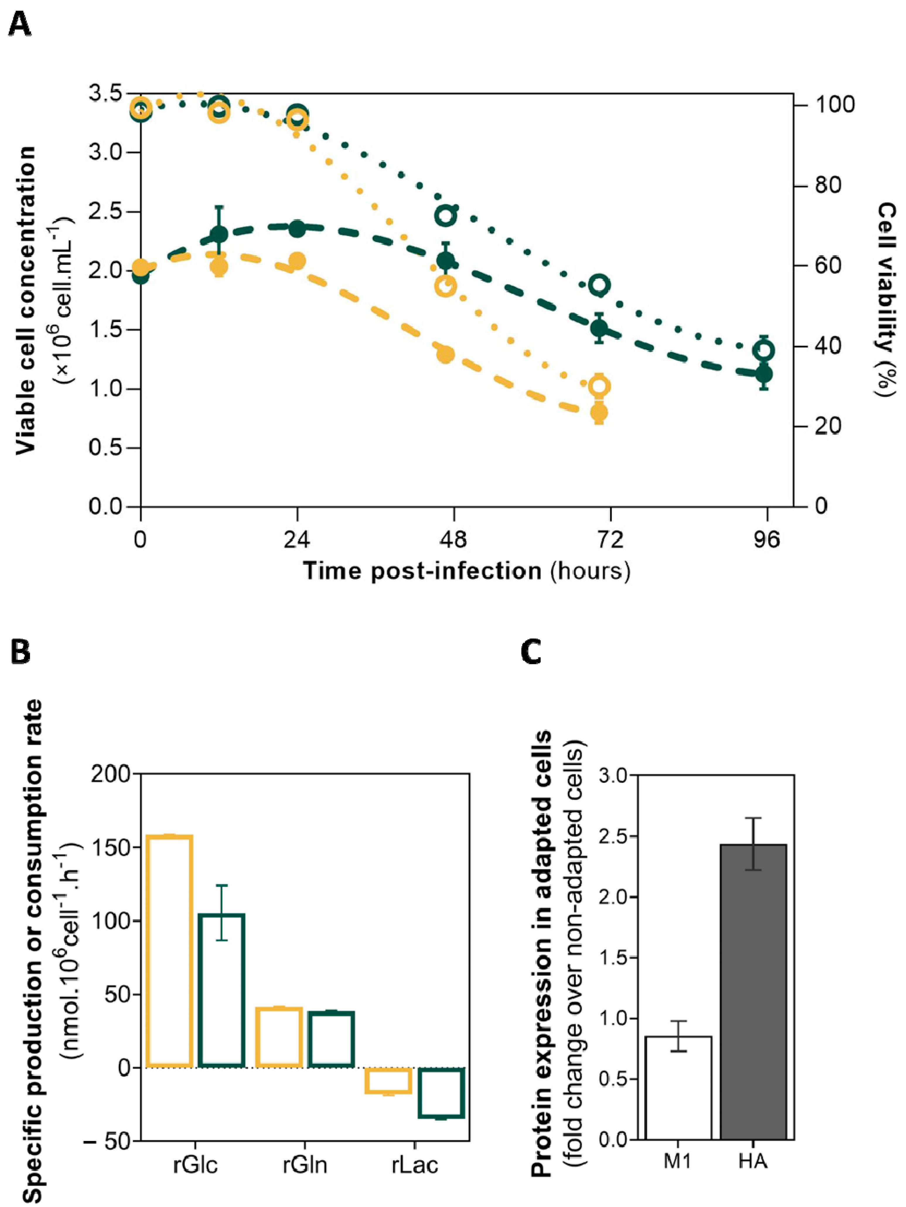 Viruses 14 02238 g001