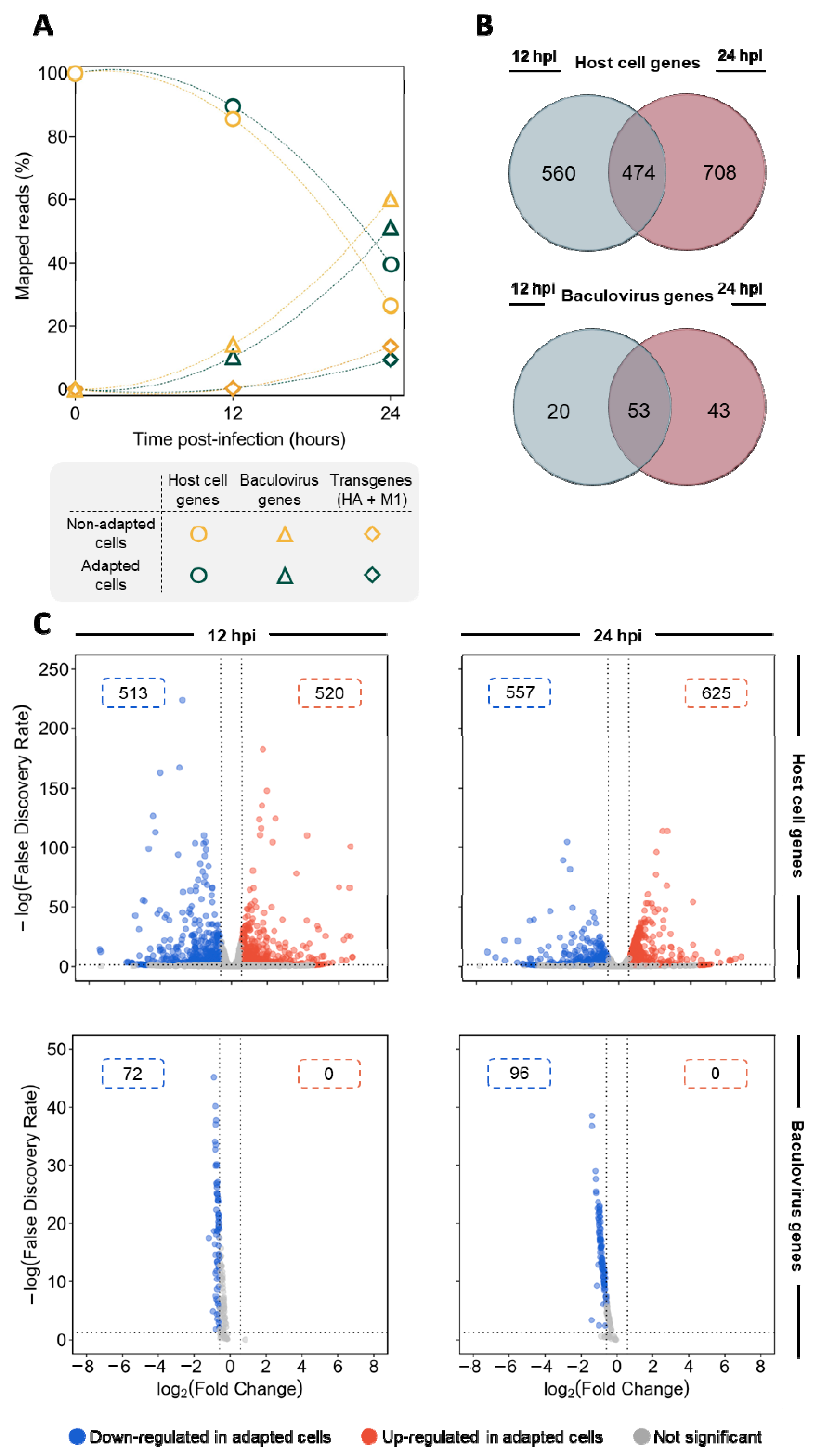 Viruses 14 02238 g002