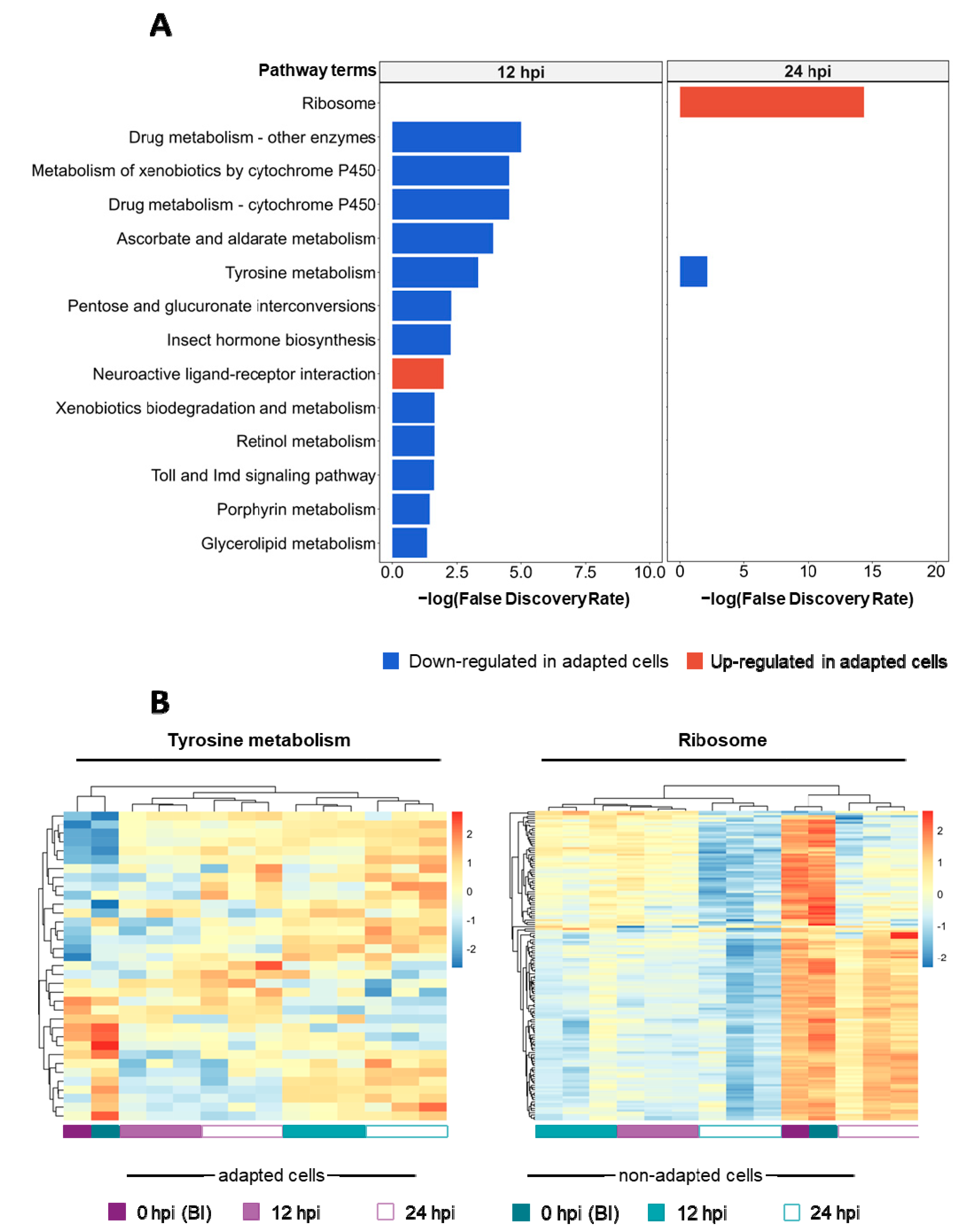 Viruses 14 02238 g003