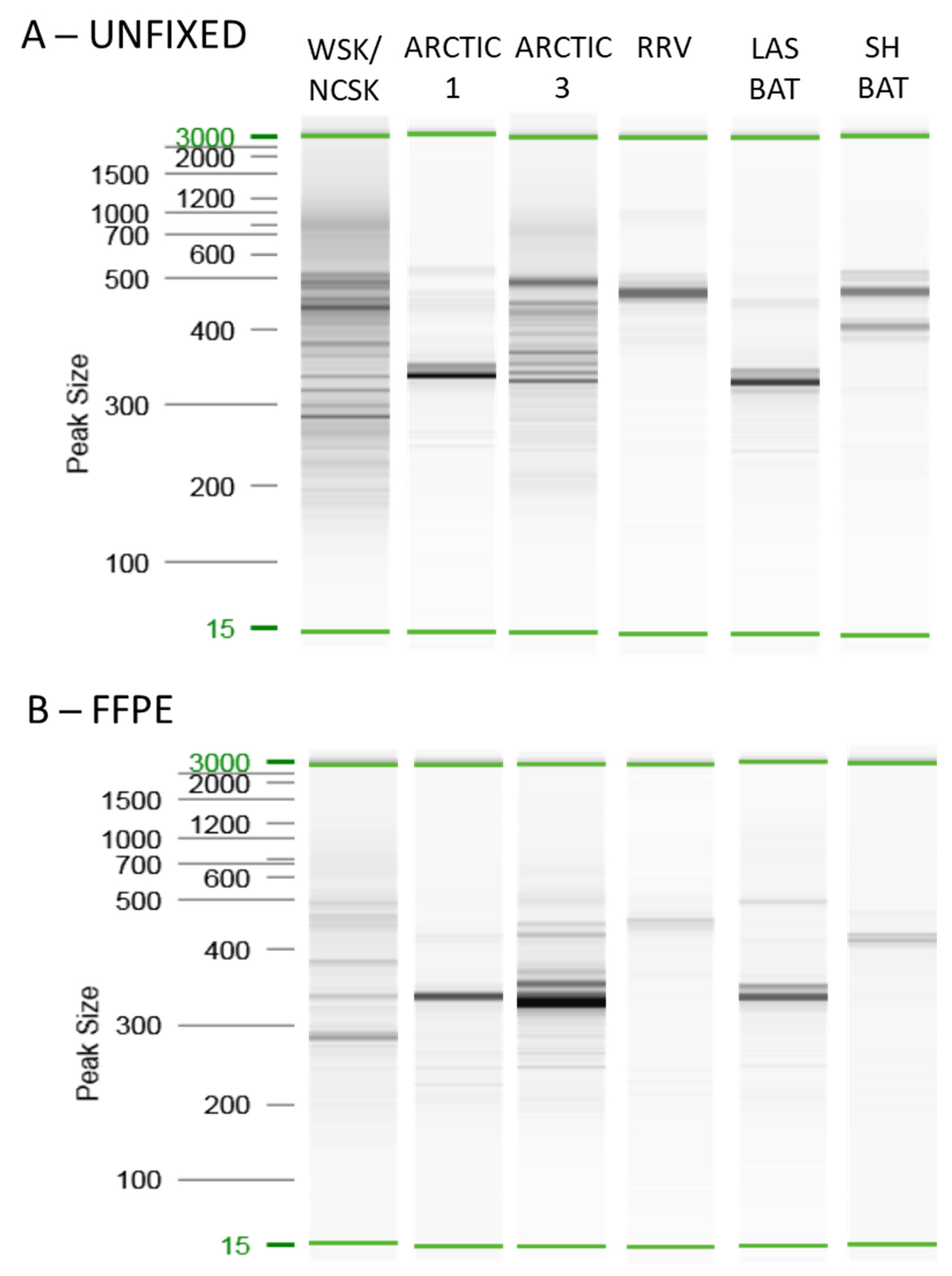 Viruses 14 02241 g003
