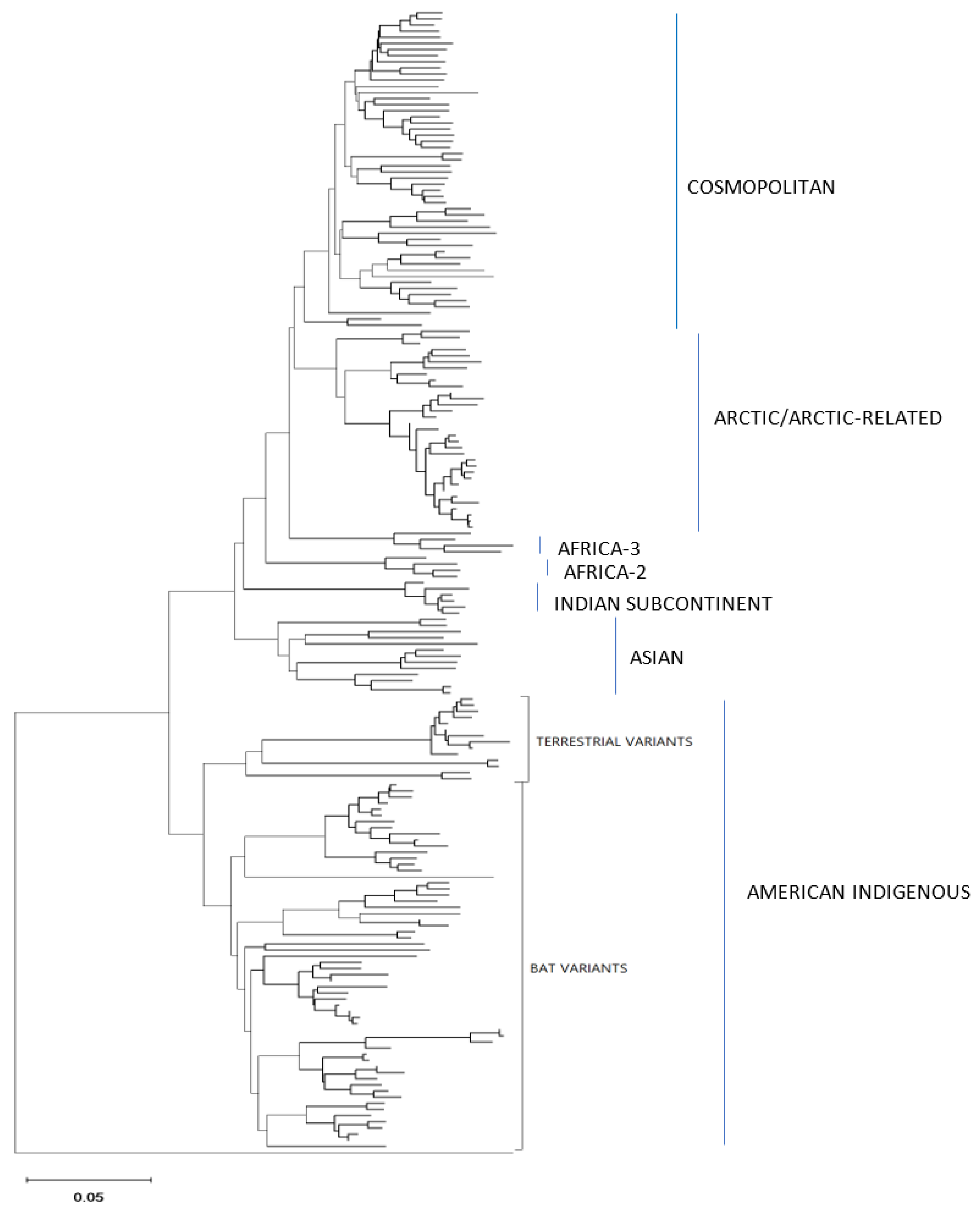 Viruses 14 02241 g005