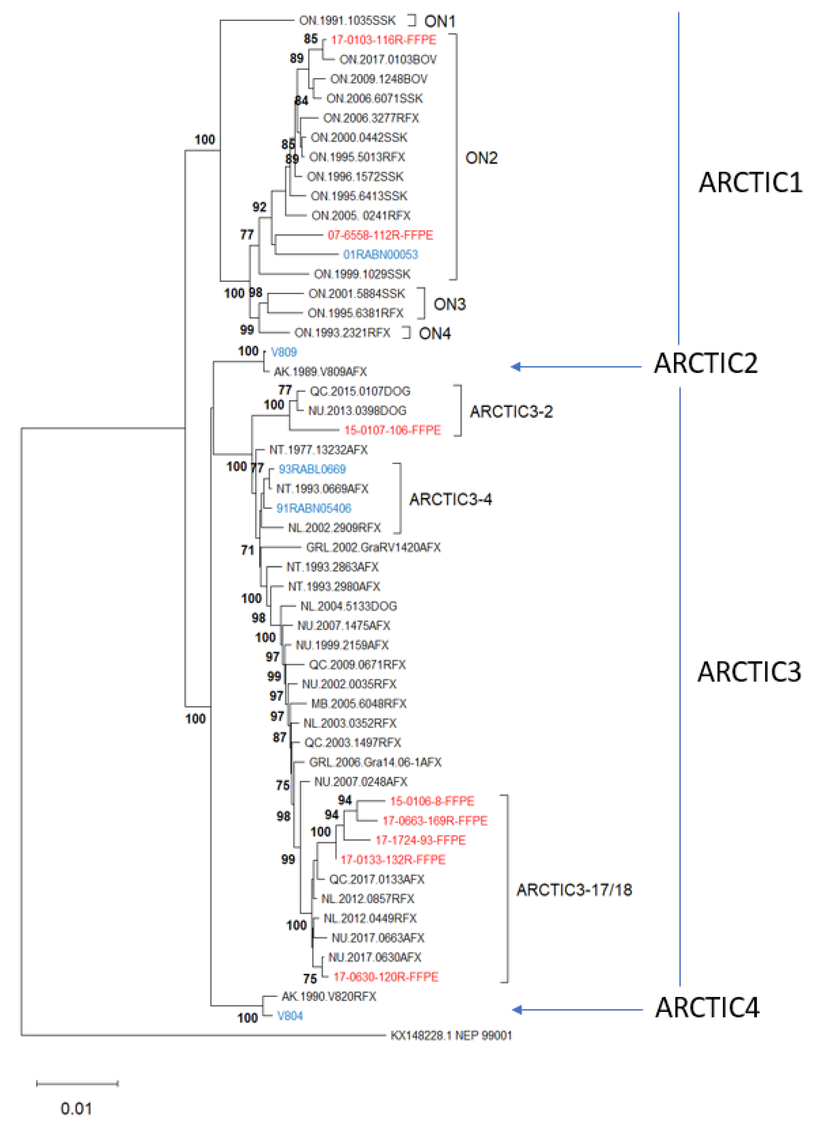Viruses 14 02241 g009