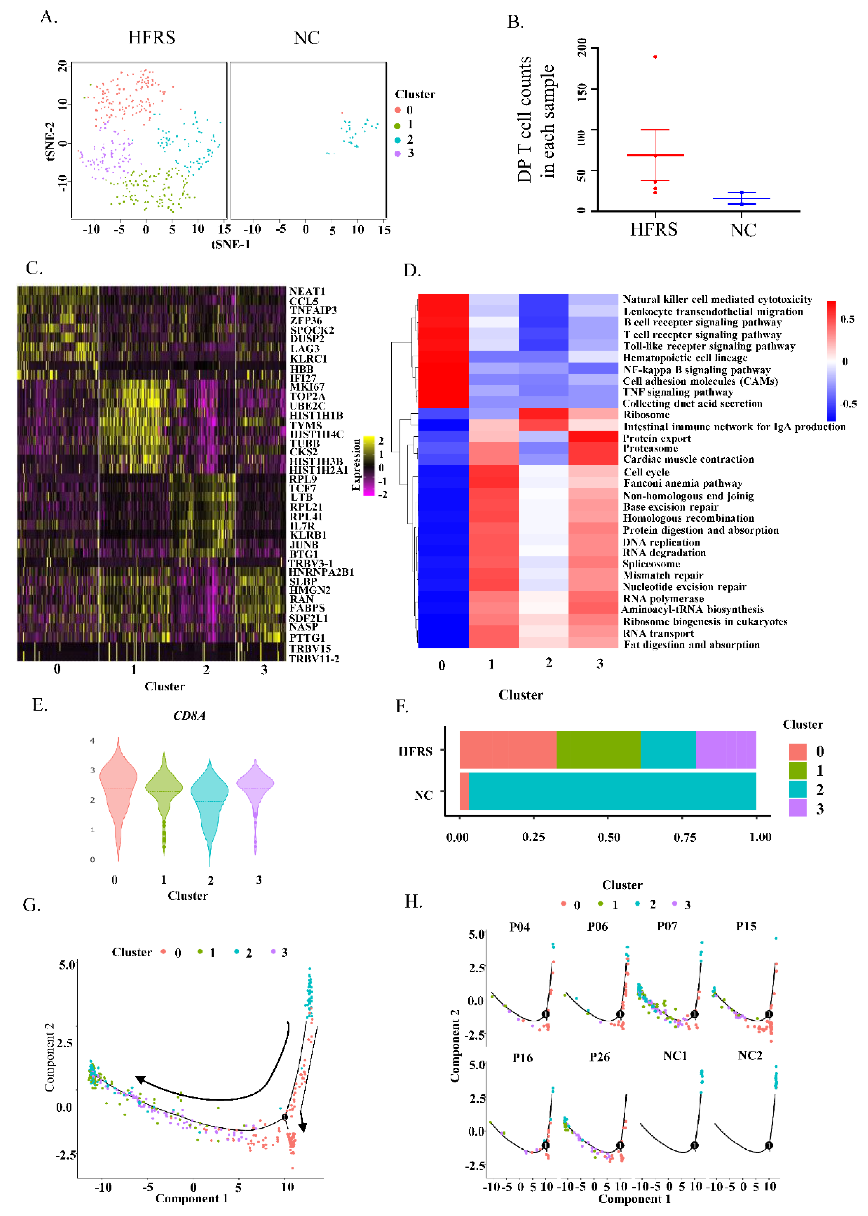 Viruses 14 02243 g002