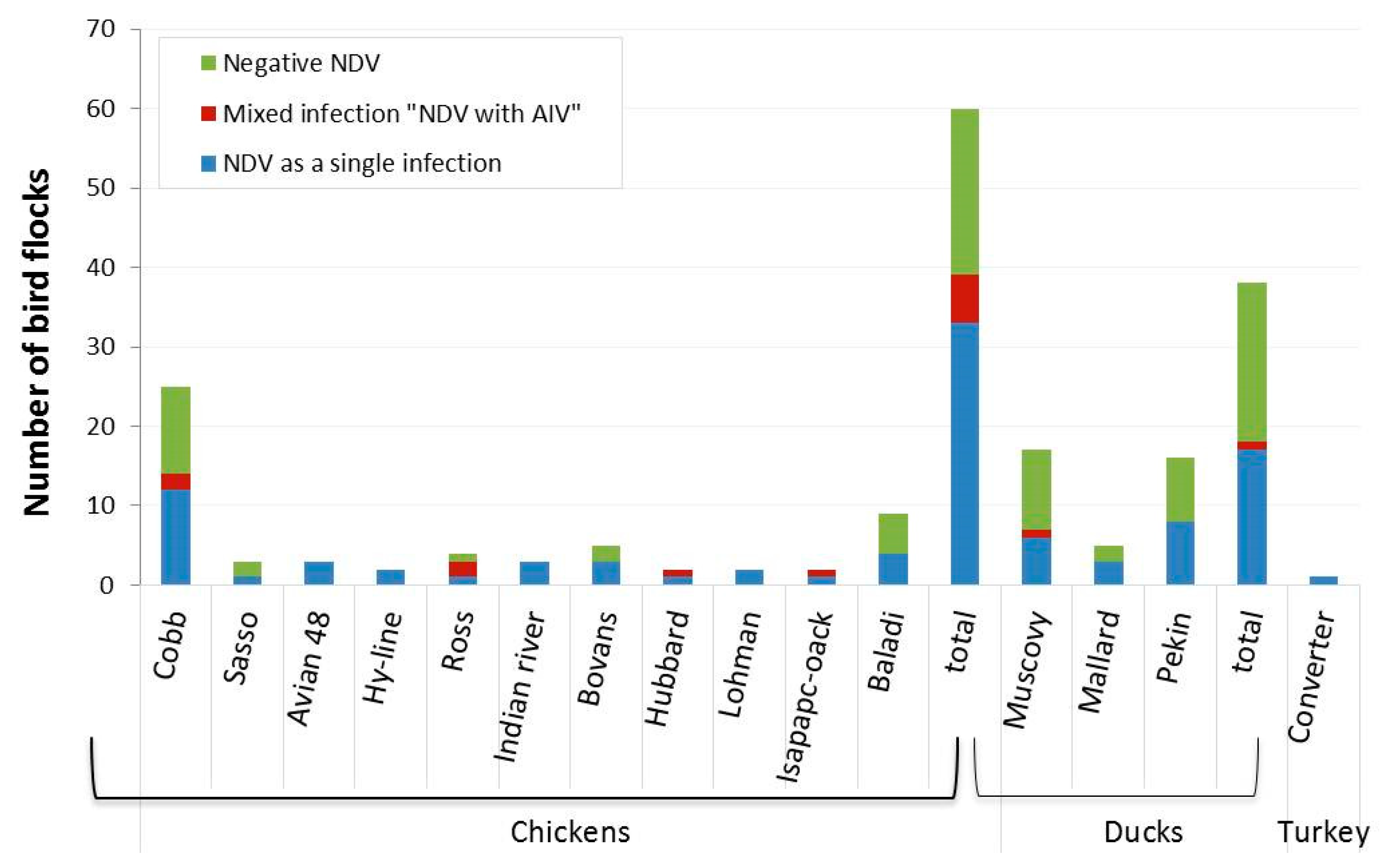 Viruses 14 02244 g001 Viruses 14 02244 g001