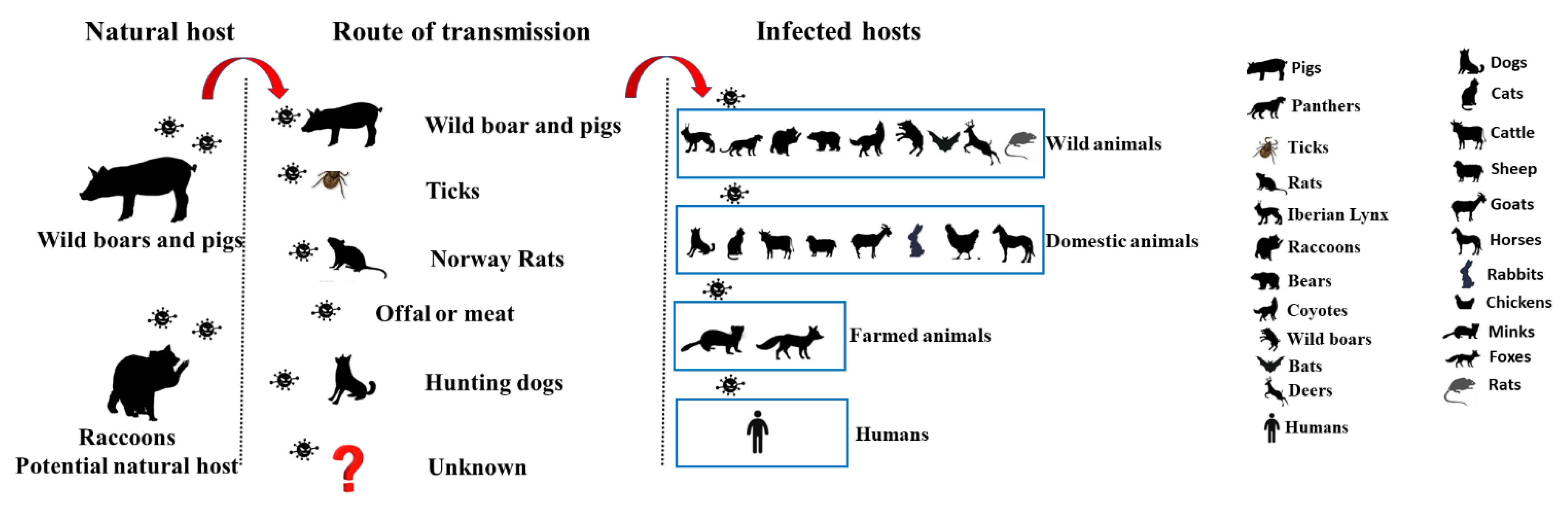 Viruses 14 02254 g001