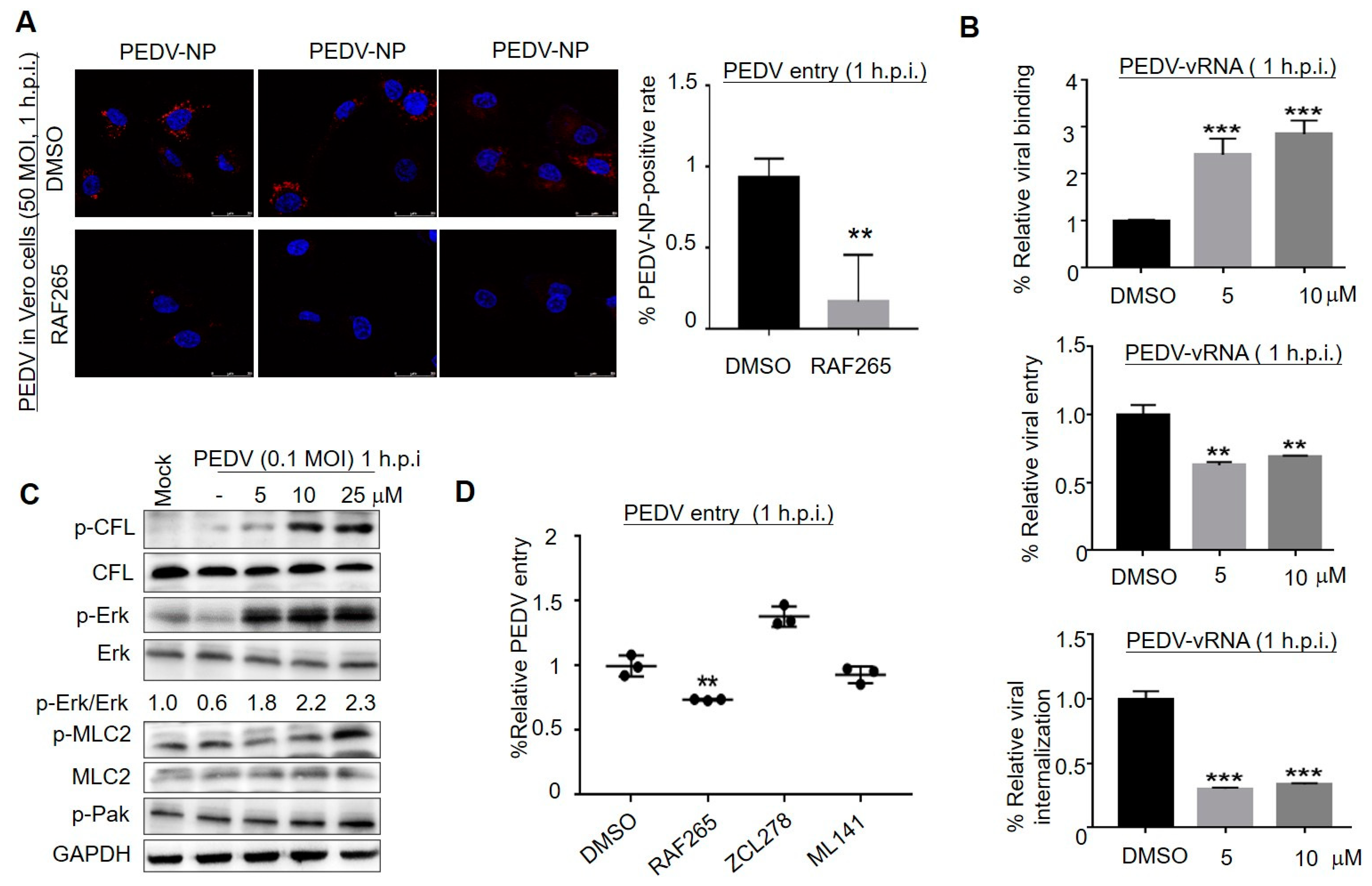 Viruses 14 02261 g002