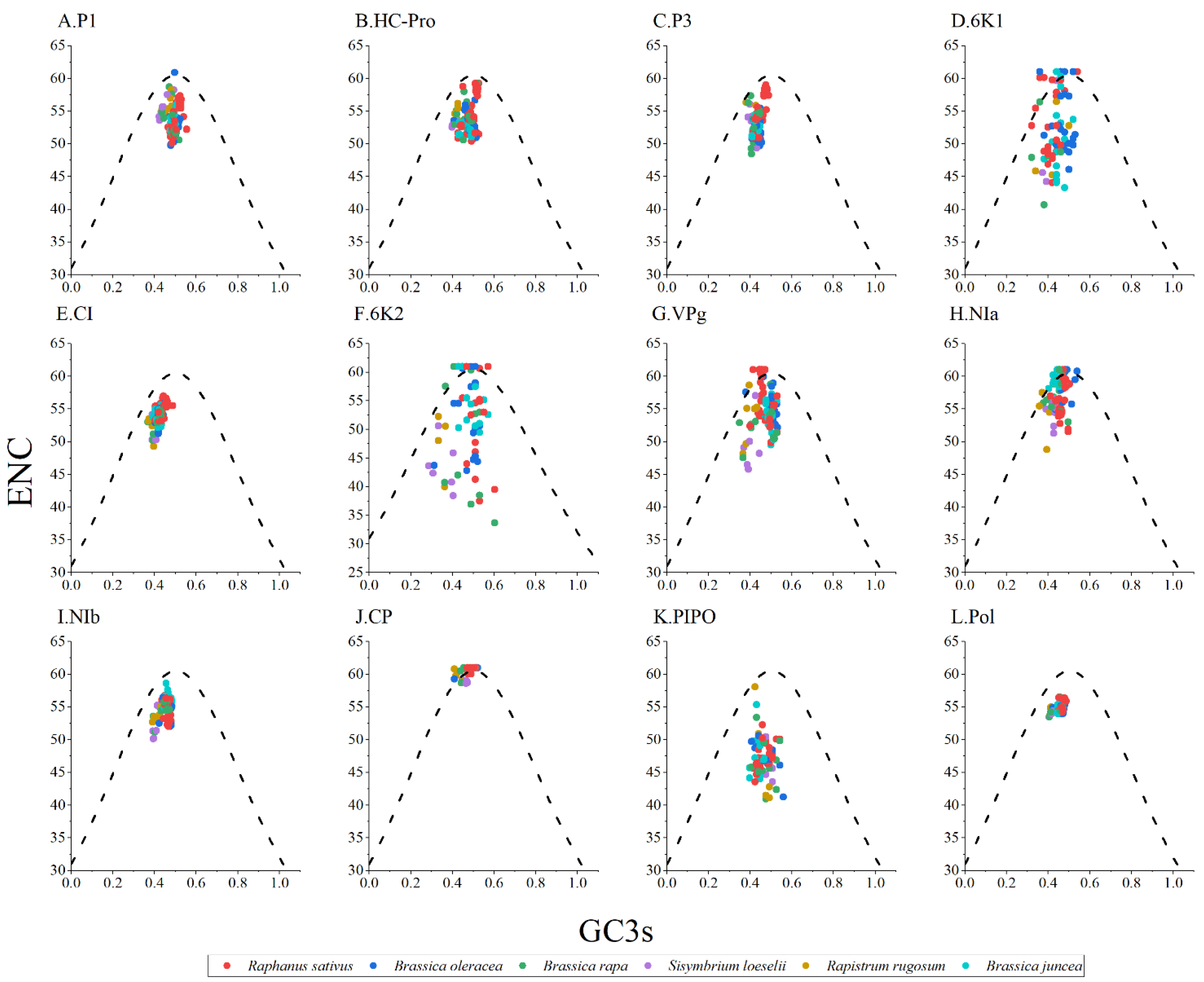 Viruses 14 02267 g003