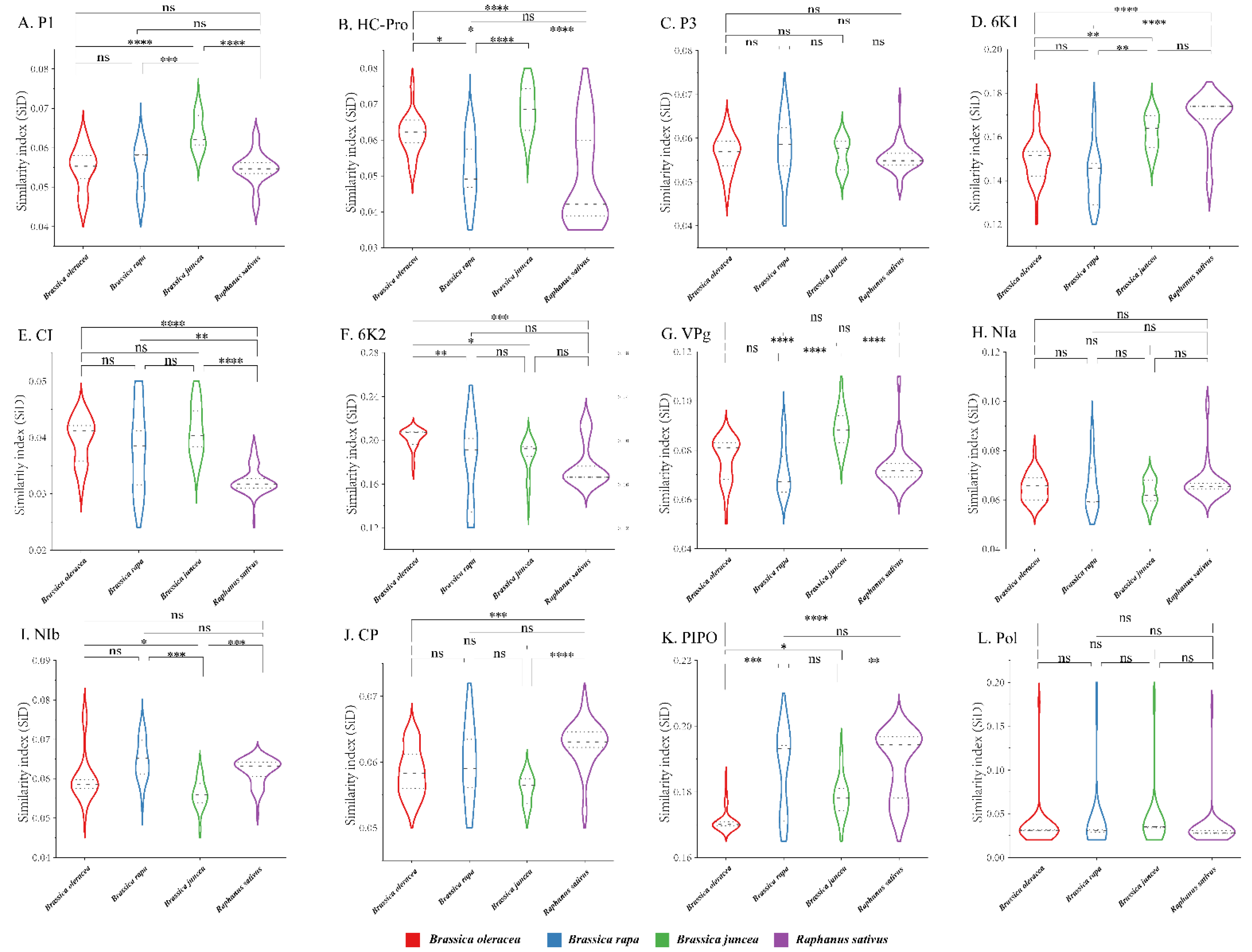 Viruses 14 02267 g007