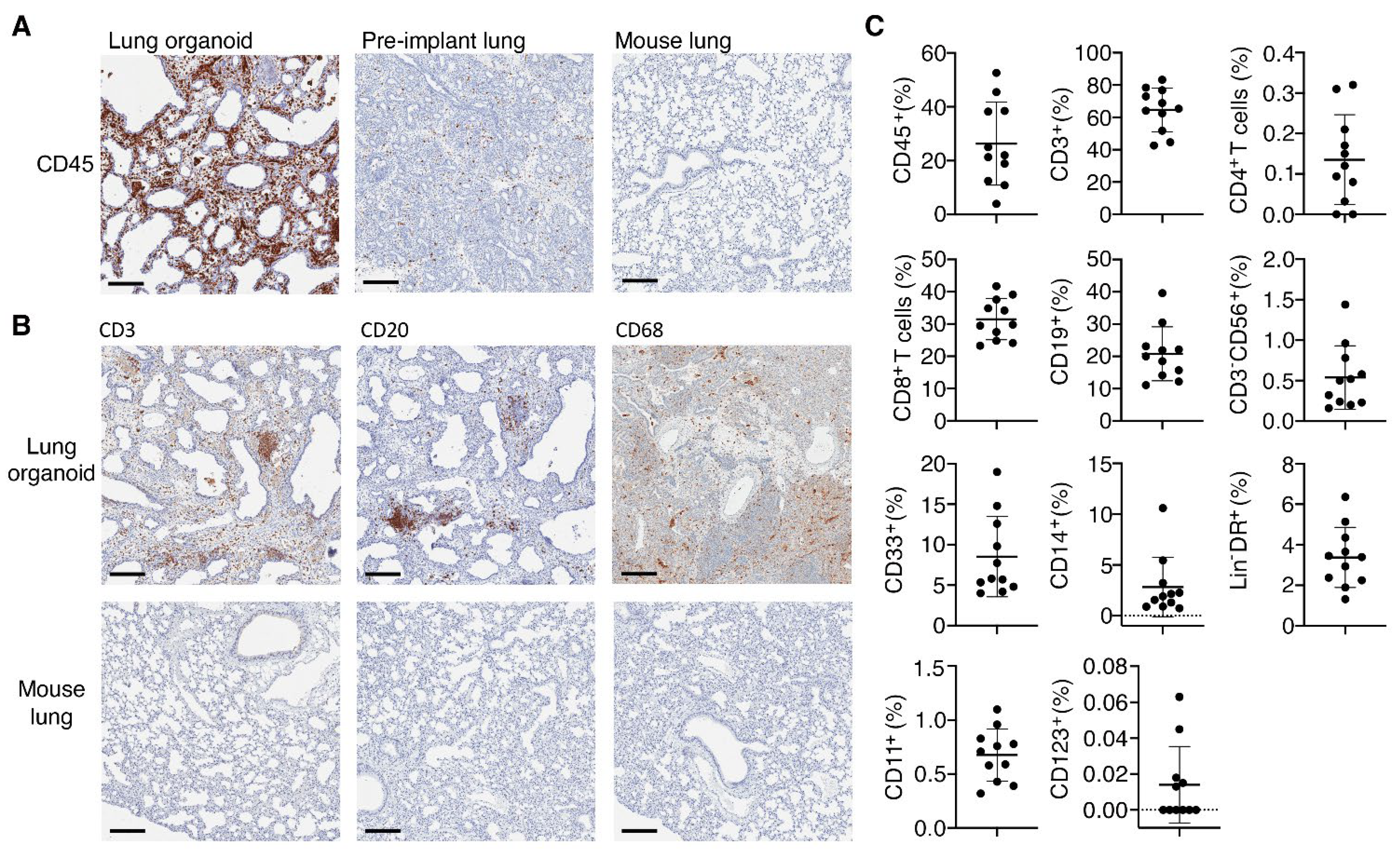 Viruses 14 02272 g003