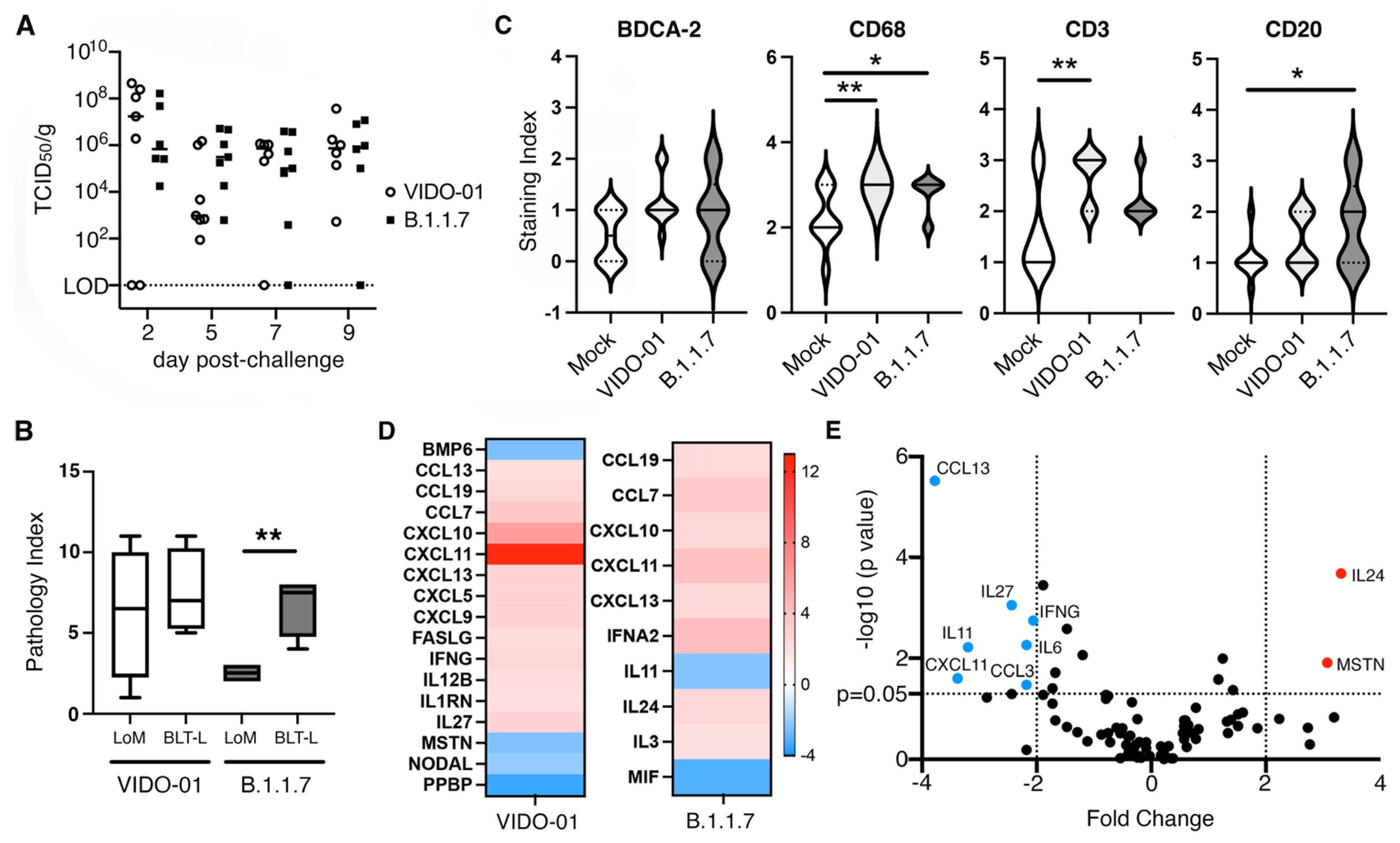 Viruses 14 02272 g005