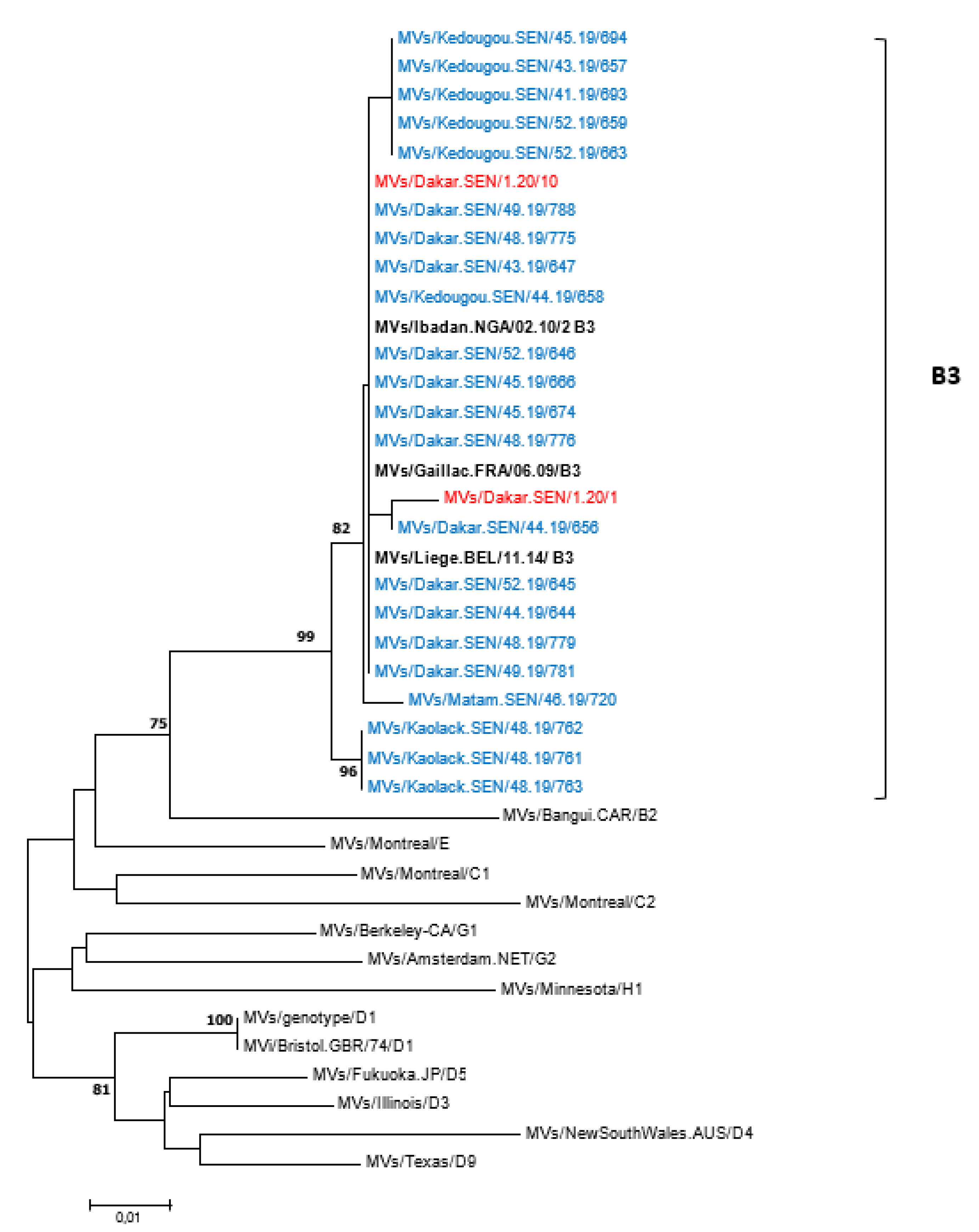 Viruses 14 02273 g004