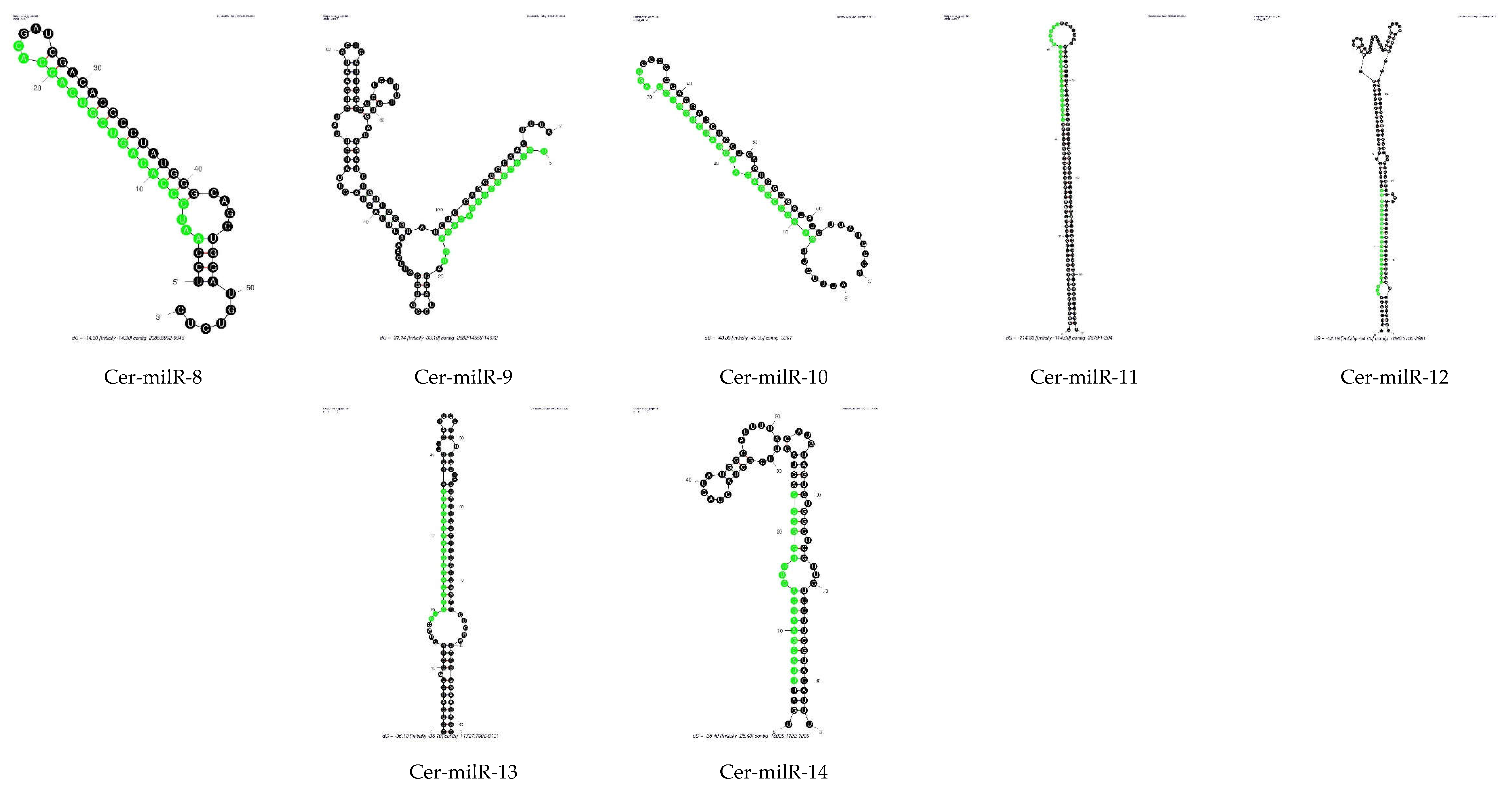 Viruses 14 02276 g004b