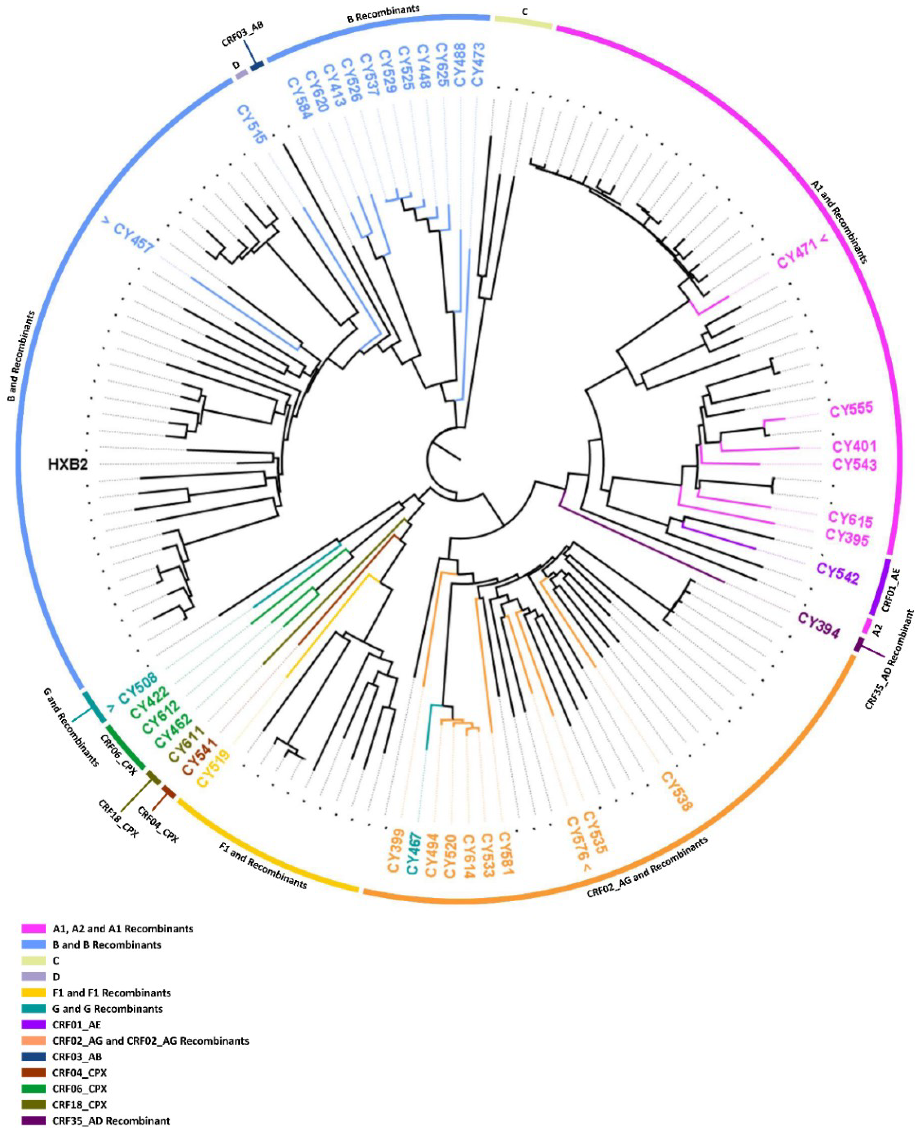 Viruses 14 02286 g007 Viruses 14 02286 g007