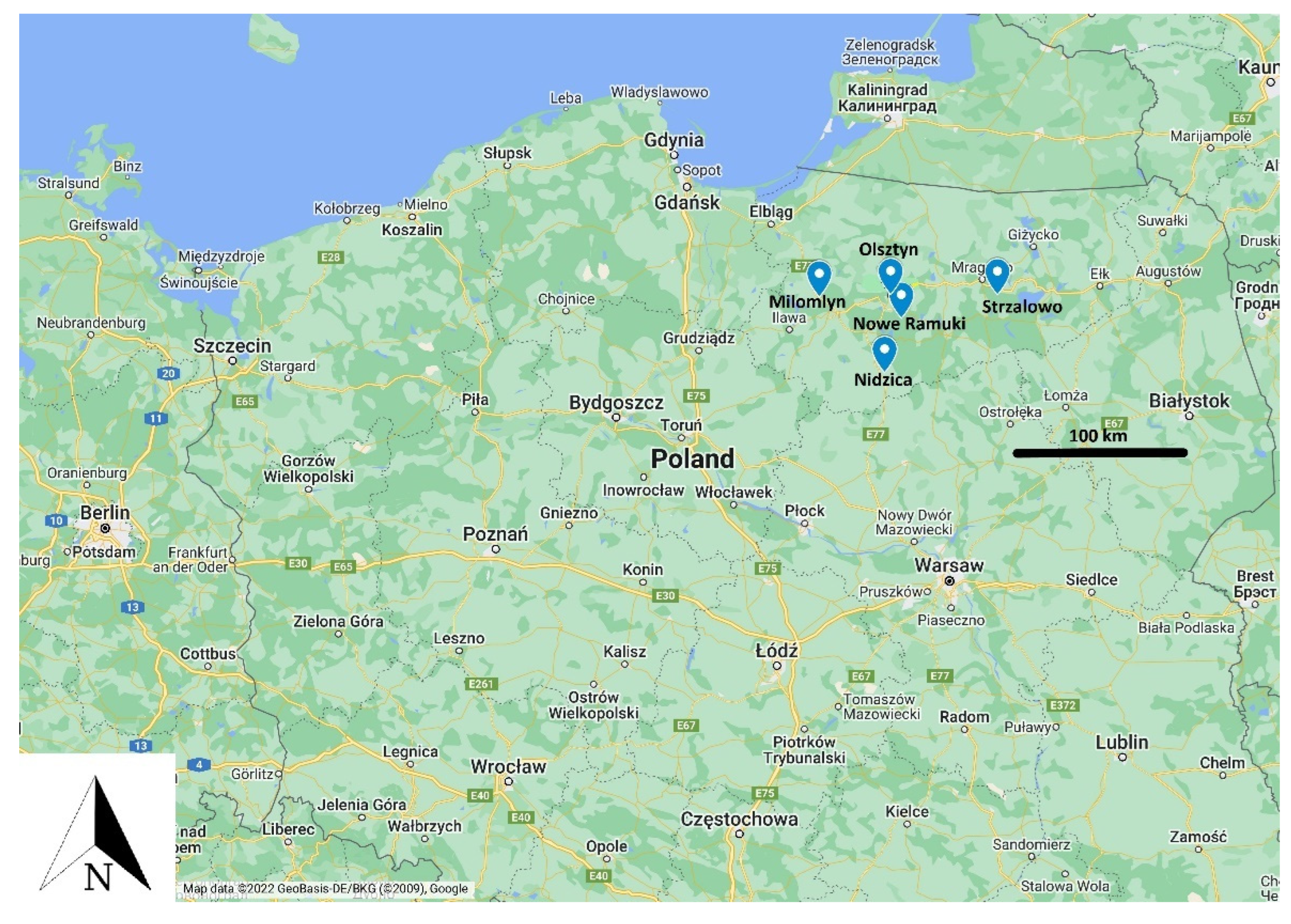 Viruses 14 02290 g001