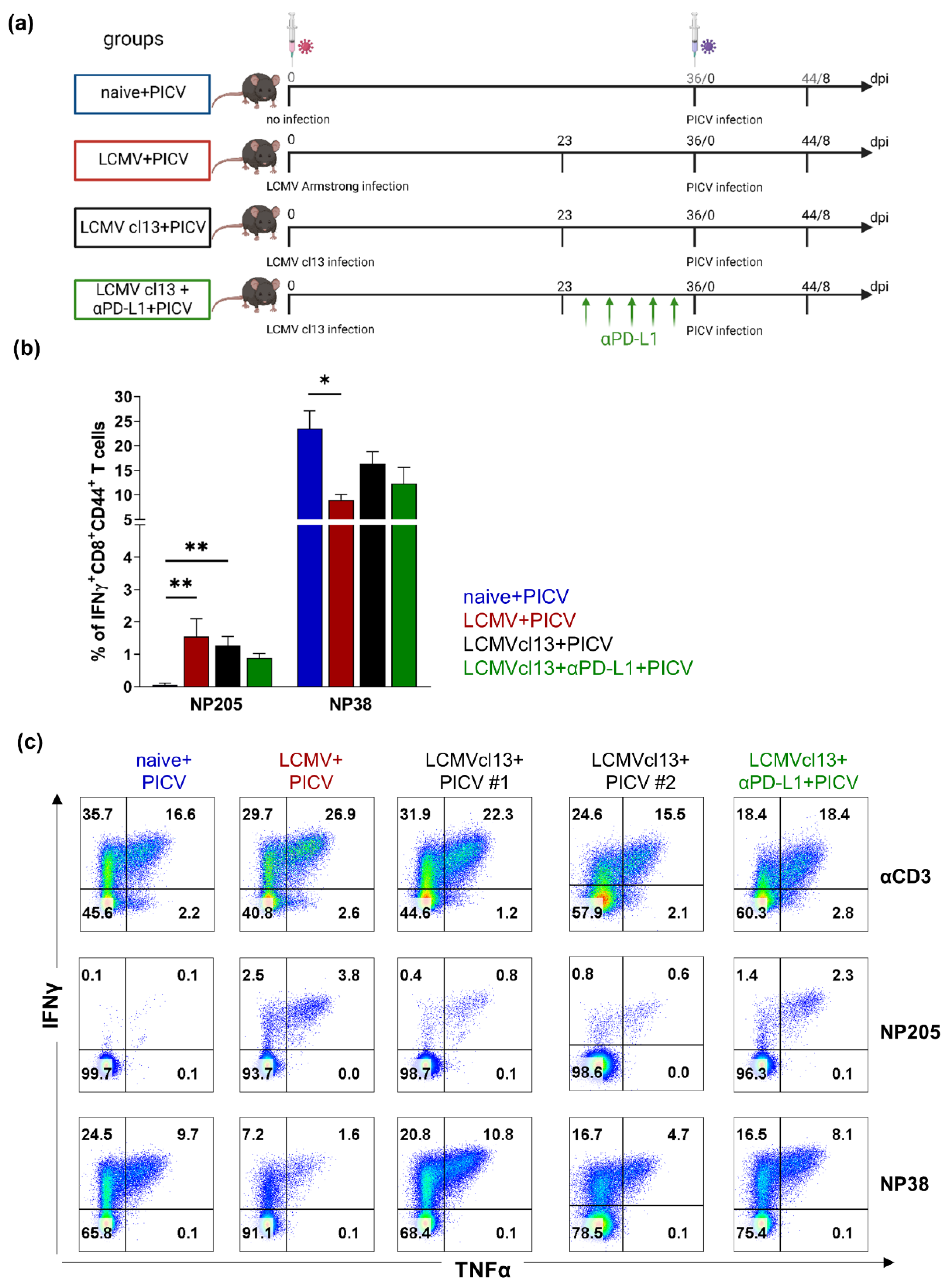 Viruses 14 02293 g001 Viruses 14 02293 g001