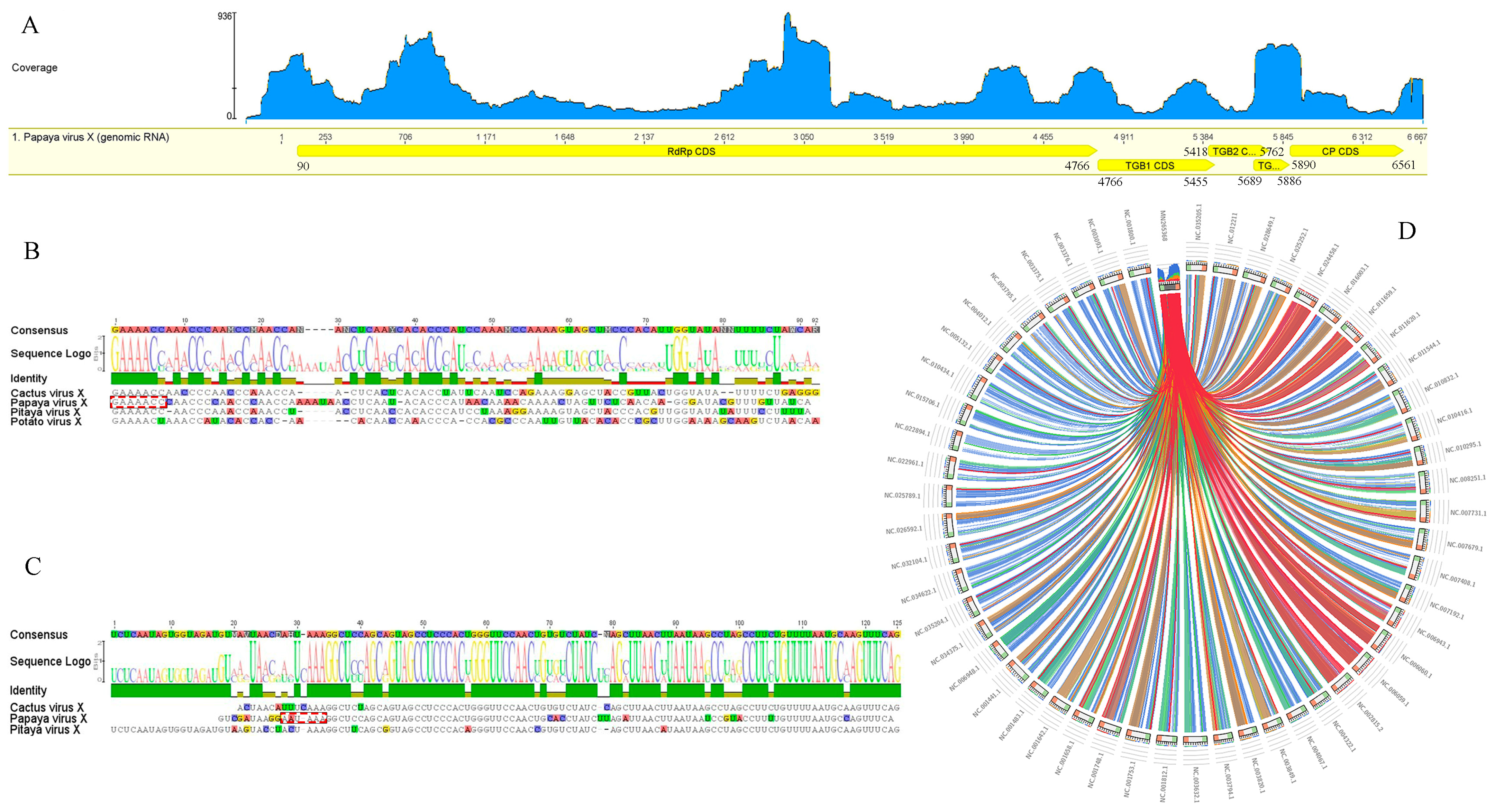 Viruses 14 02297 g002 Viruses 14 02297 g002