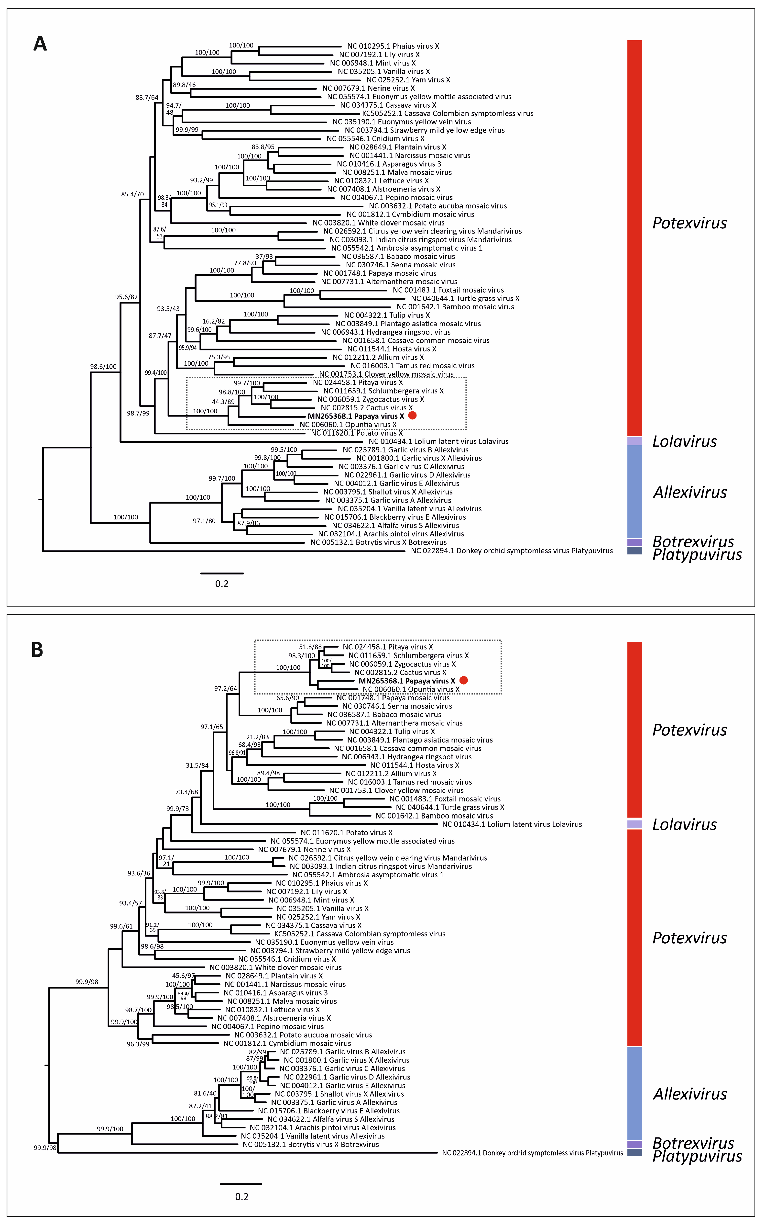 Viruses 14 02297 g003 Viruses 14 02297 g003