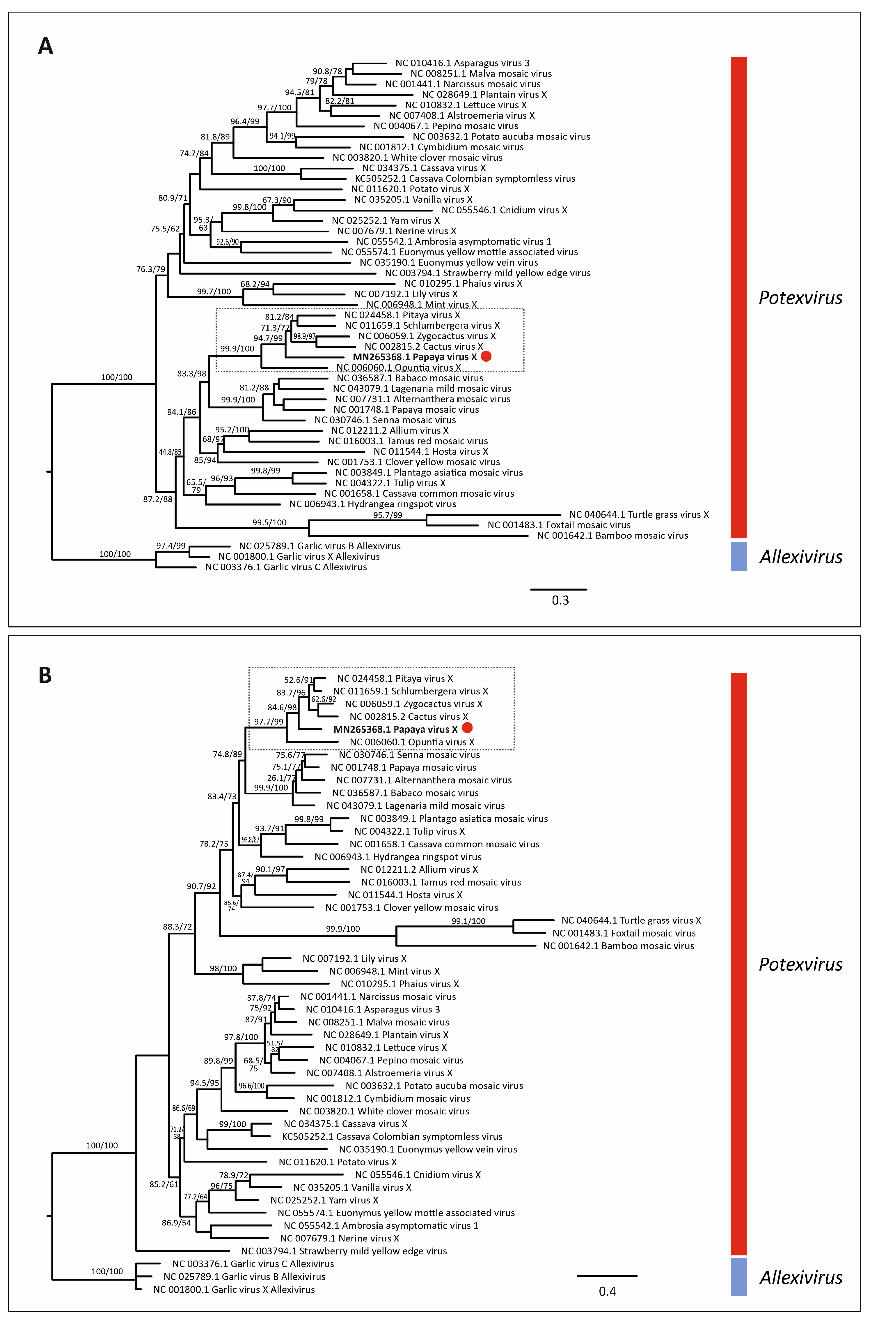 Viruses 14 02297 g004 Viruses 14 02297 g004