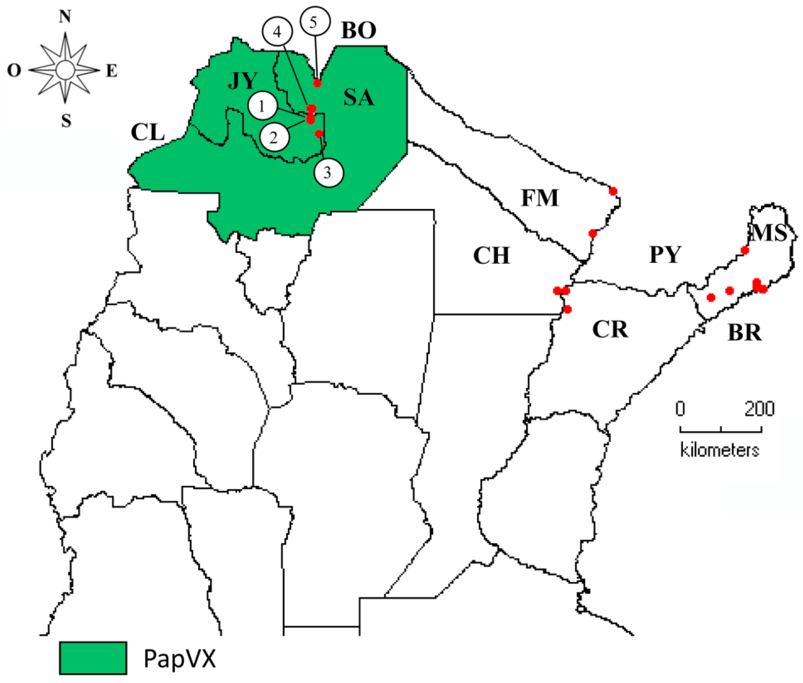 Viruses 14 02297 g006 Viruses 14 02297 g006