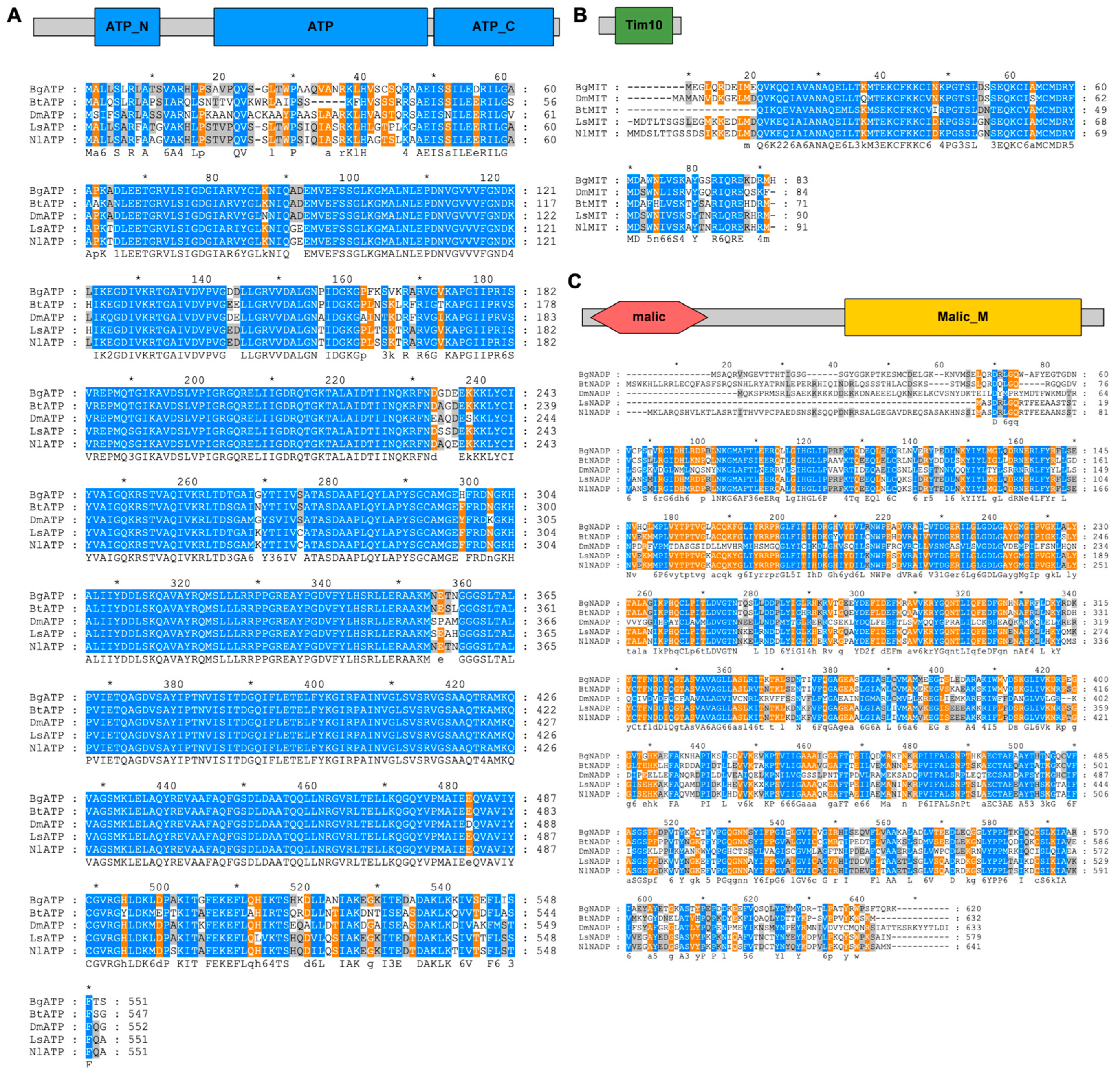Viruses 14 02298 g001