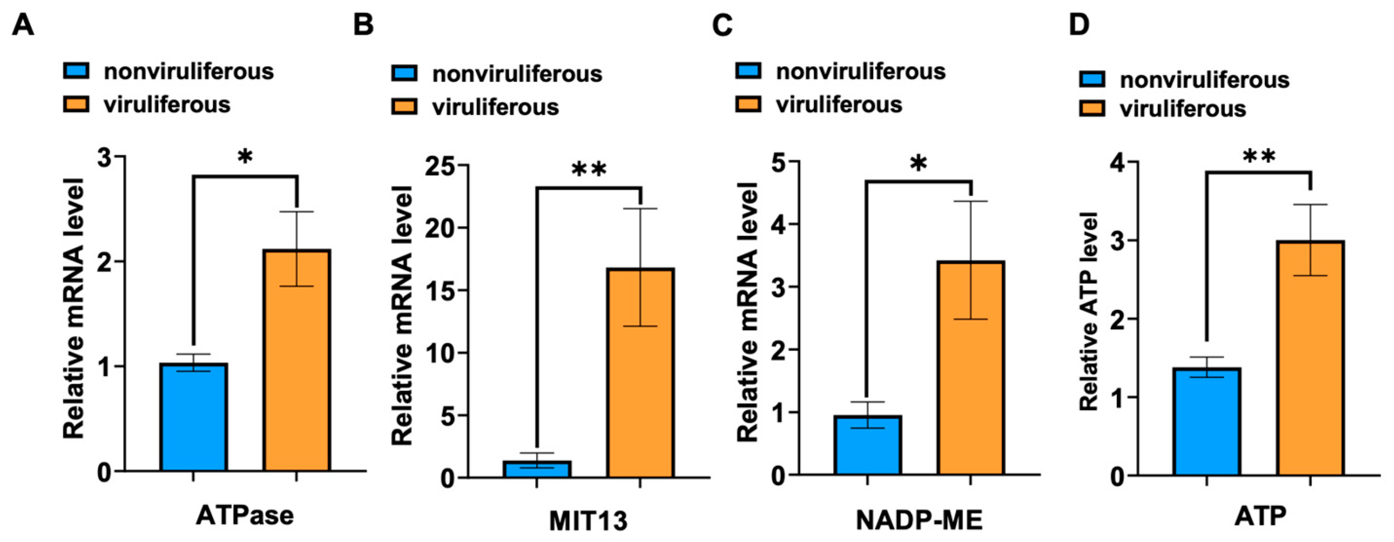 Viruses 14 02298 g002