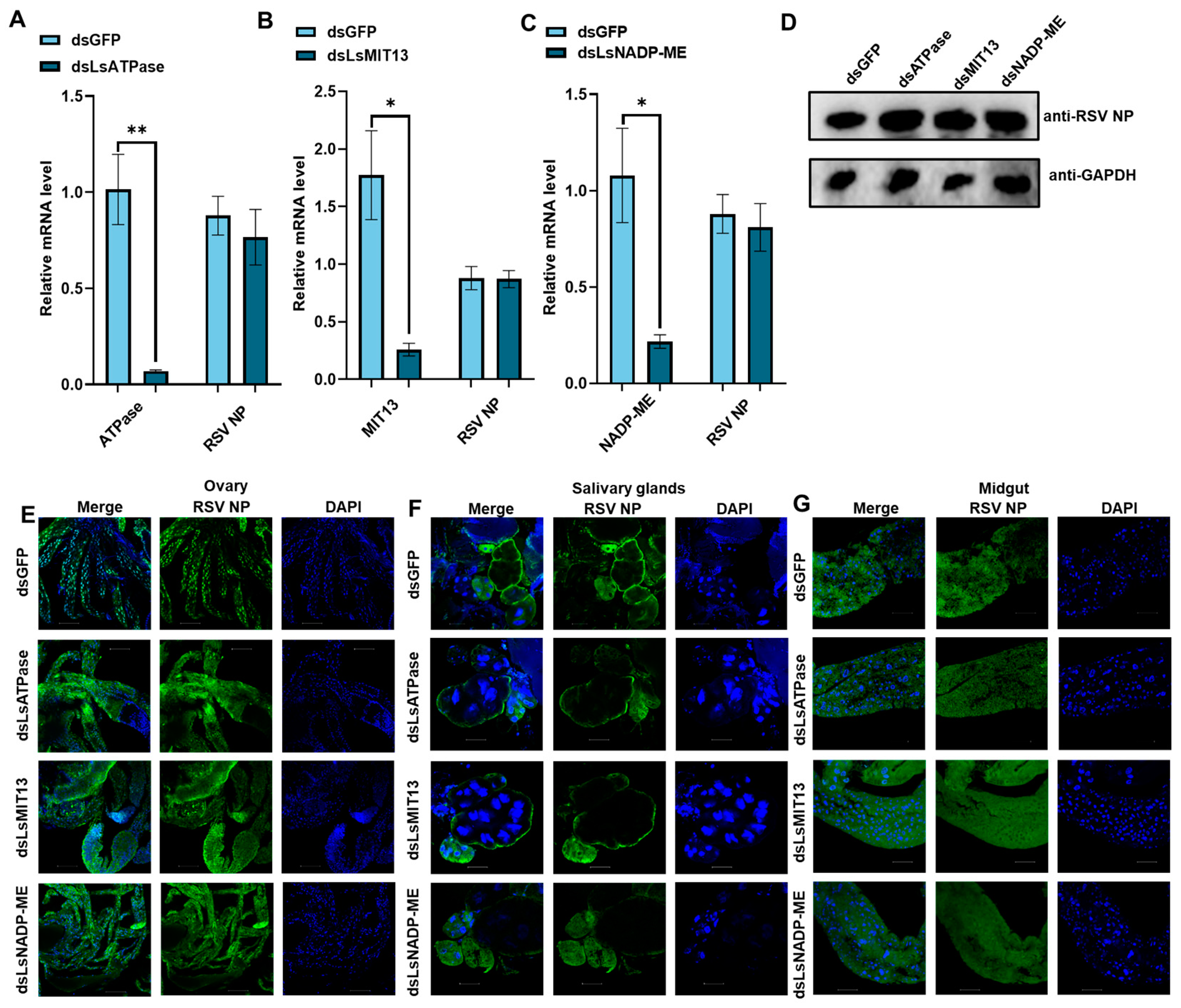 Viruses 14 02298 g003