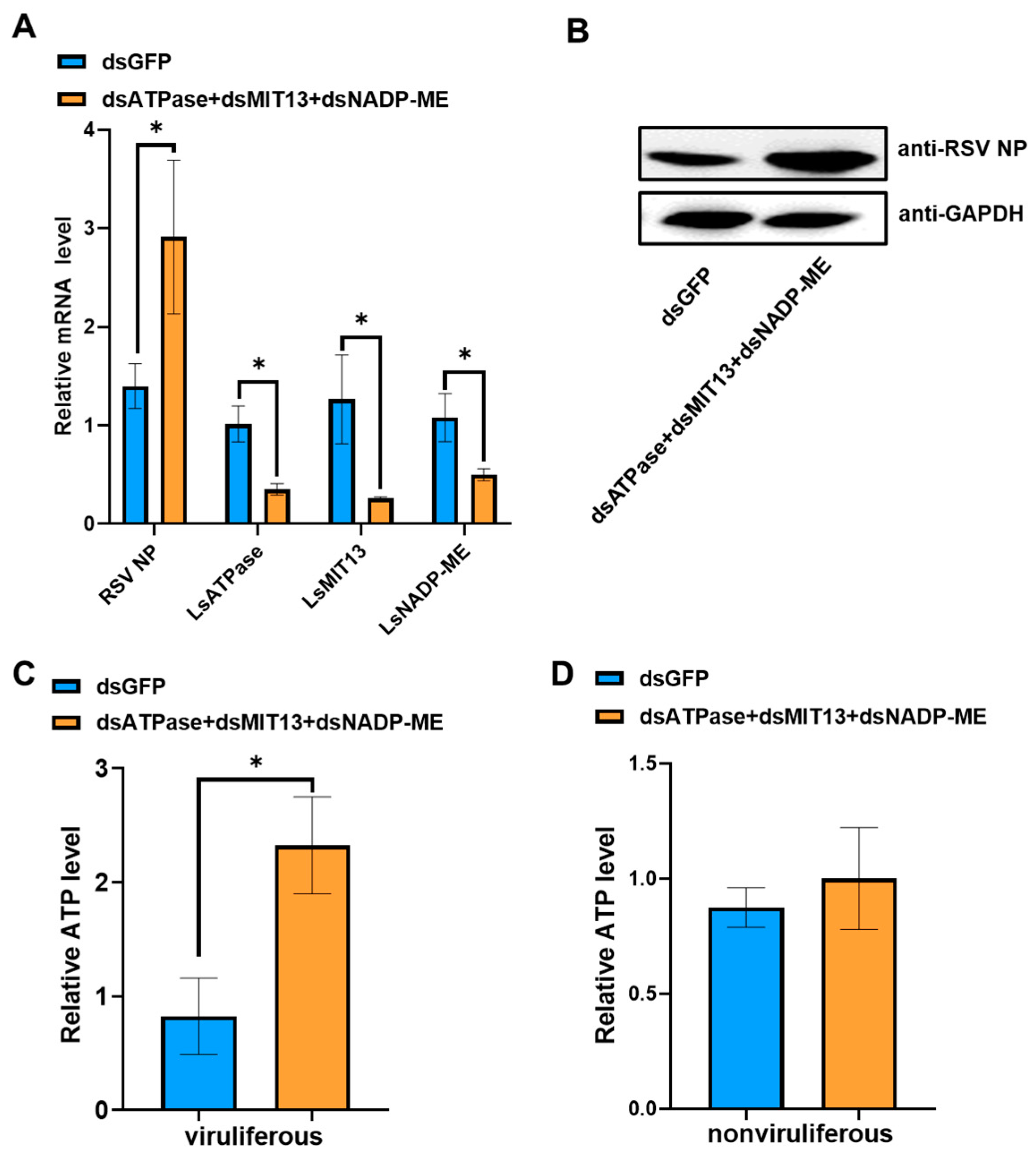 Viruses 14 02298 g005