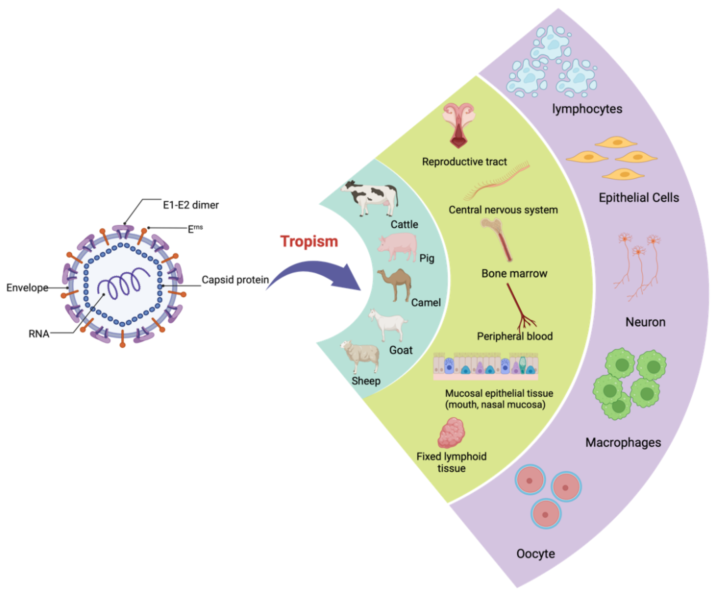Viruses 14 02302 g001