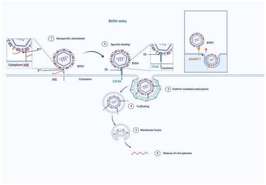Viruses 14 02302 g003