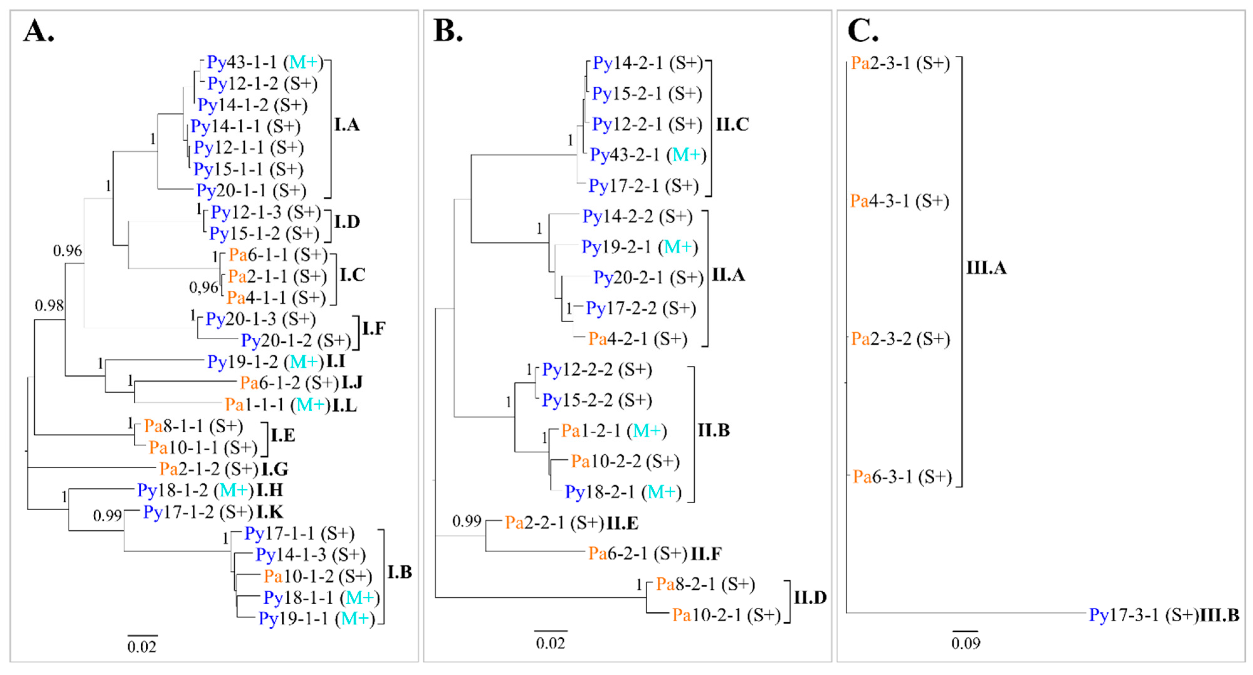 Viruses 14 02303 g005